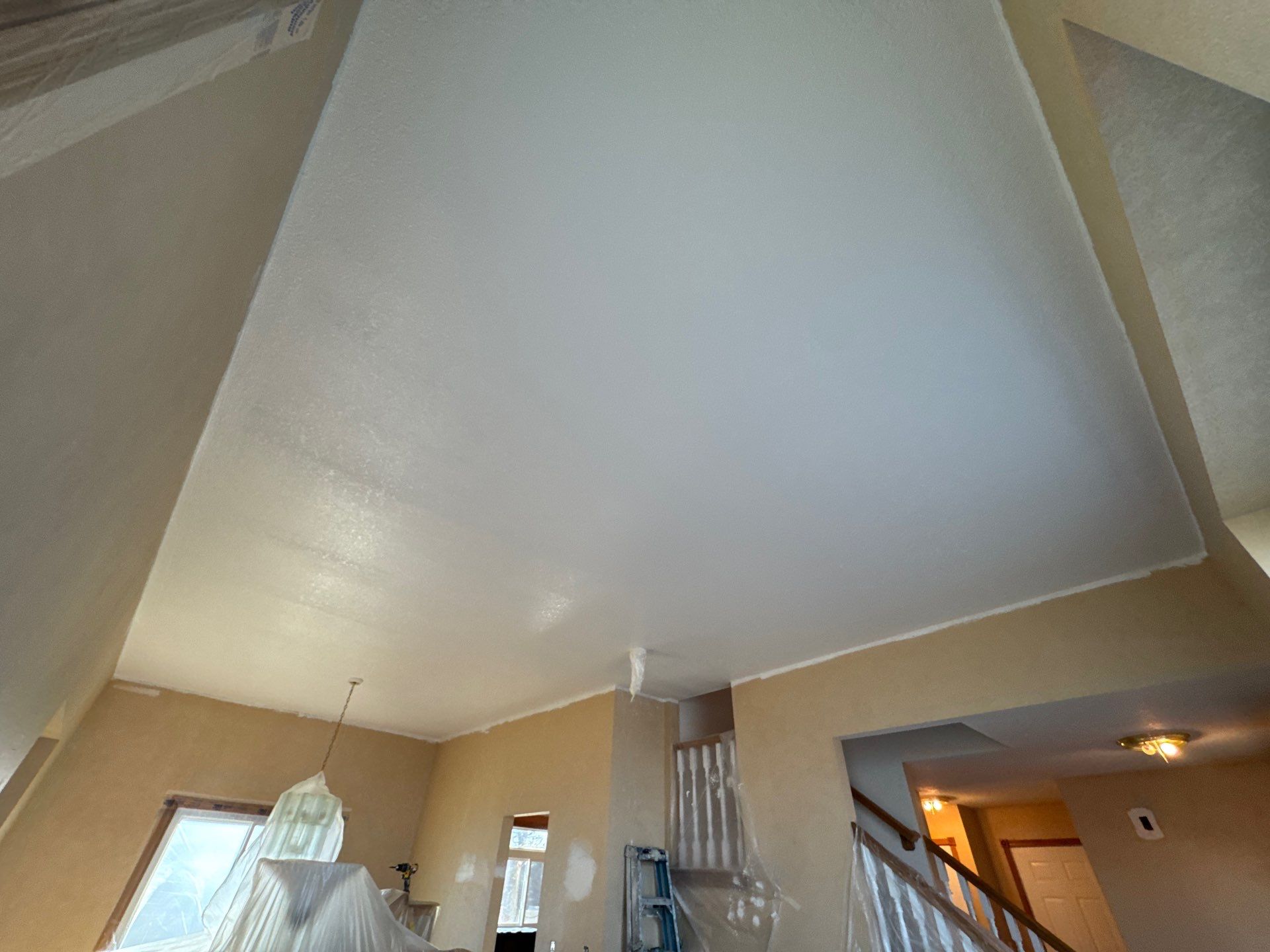 Ankeny Residential Interior | SW Duration in Natural Linen, Velvet Antler Accents & Clary Sage Bath with ProMar Flat White Ceilings by Midwest Paint LLC