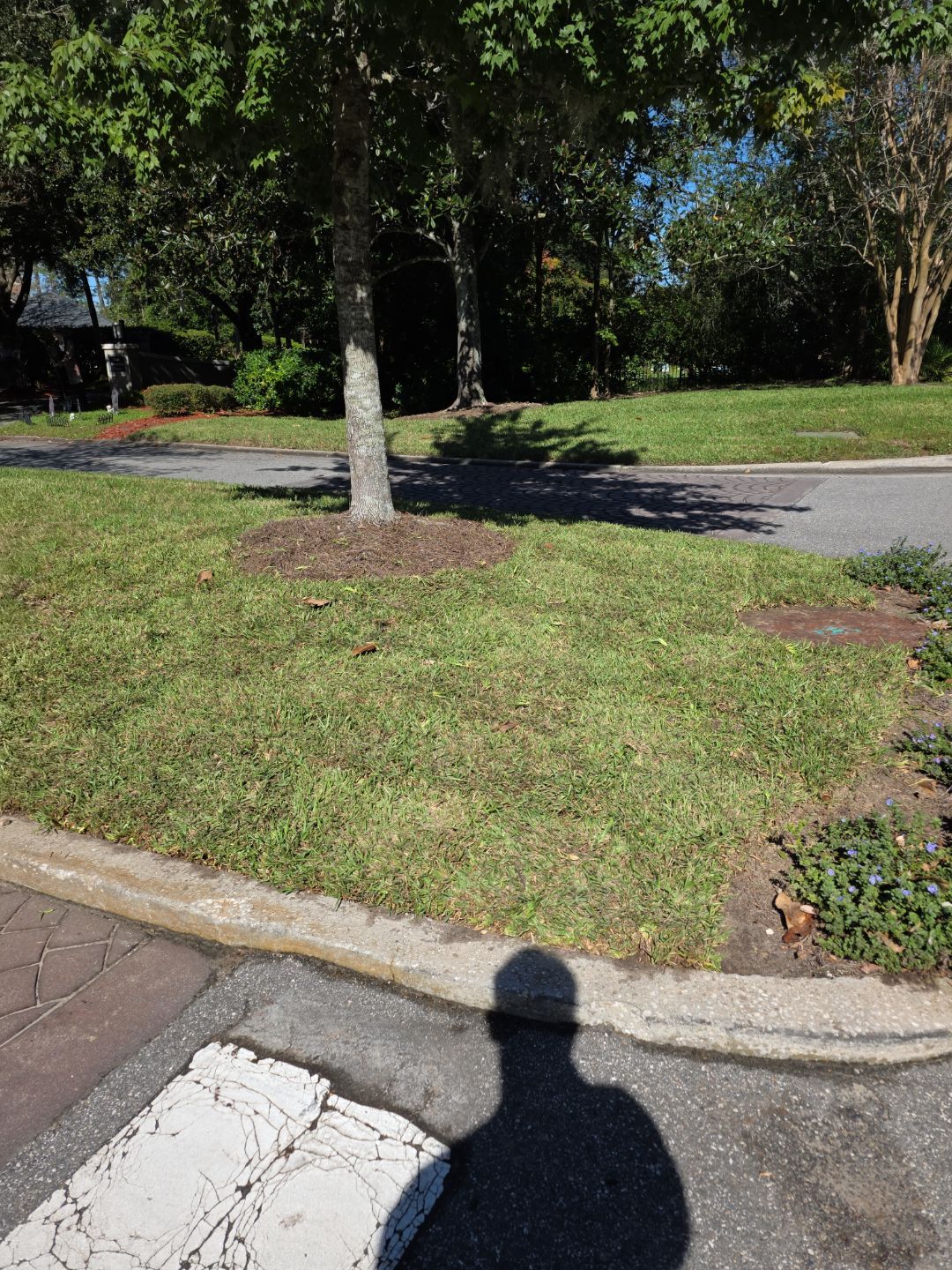Deerwood Community | Island Landscaping by ProGreen Services