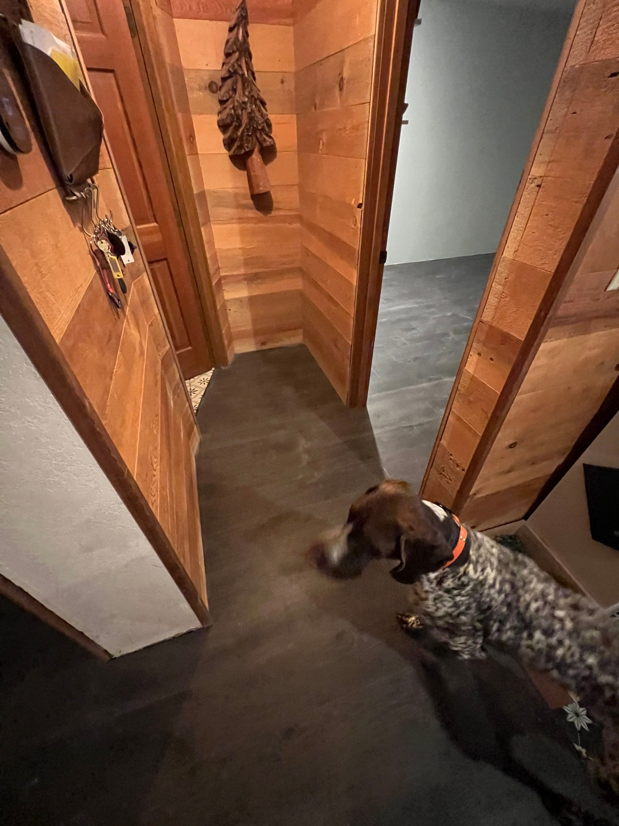 Flooring Installation by Handyman State LLC