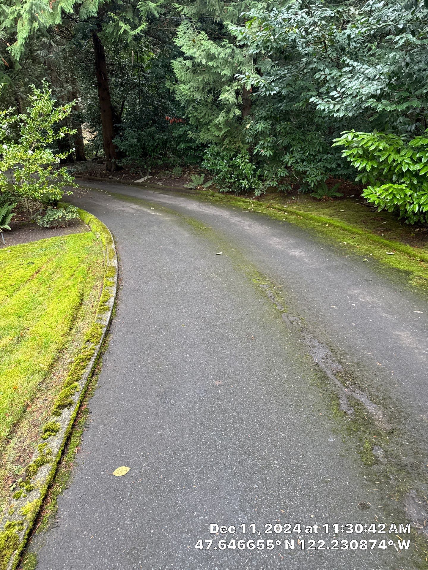Asphalt Patch Repair | Bellevue  by Jireh Asphalt & Concrete Inc 