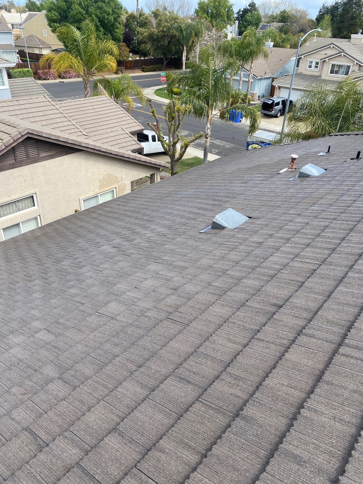 Moss Removal by Top Elevation