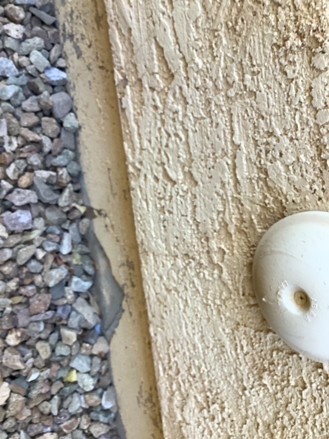 Exterior Painting - Phoenix by Crash of Rhinos Painting & Garage Floors