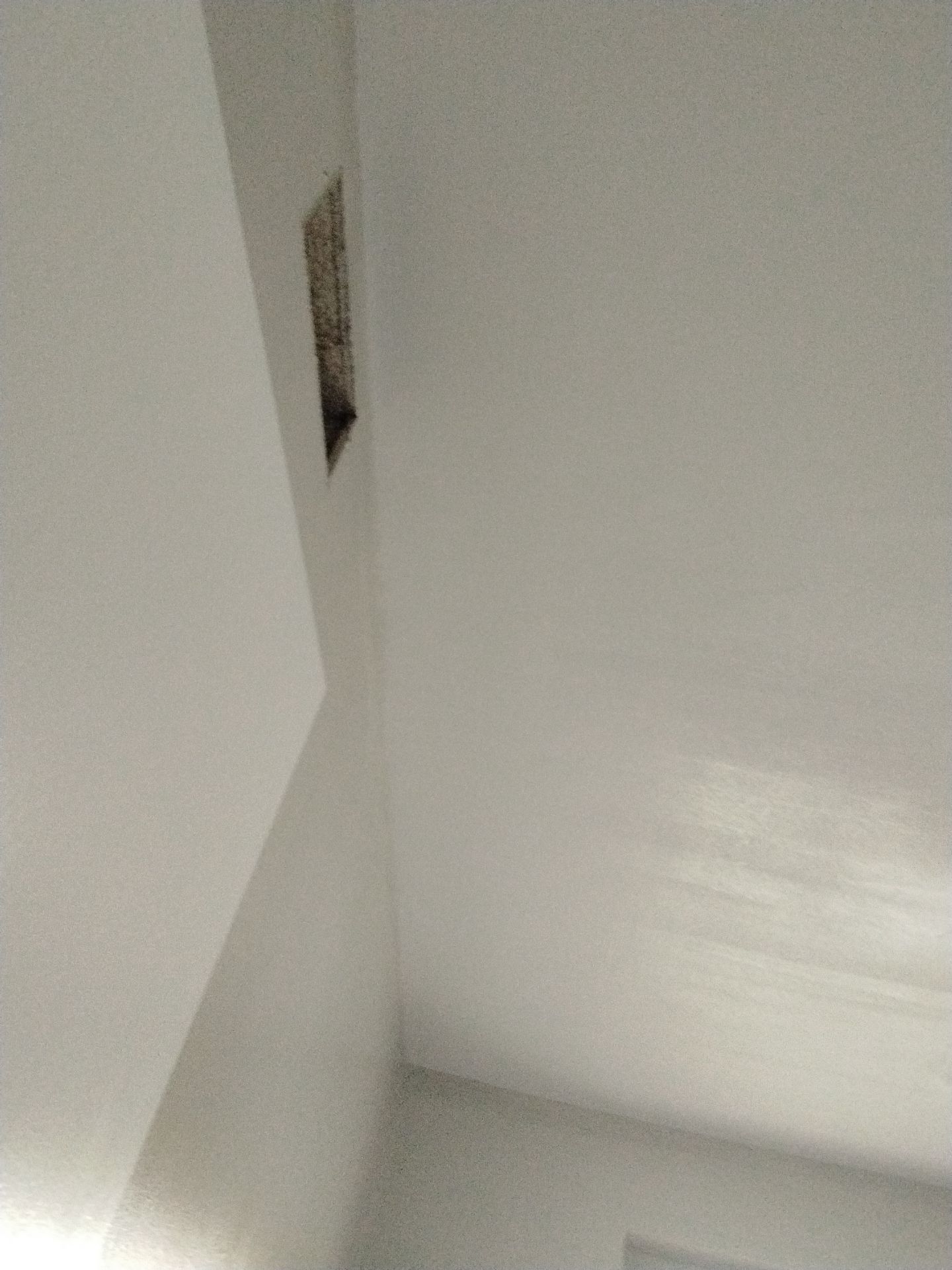 Interior Painting of walls and ceilings by Midwest Paint LLC