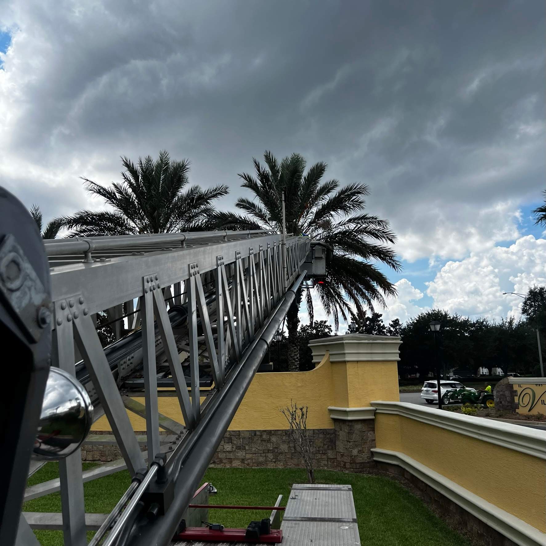 Palm Tree Trimming | IL Villagio Condominiums by ProGreen Services