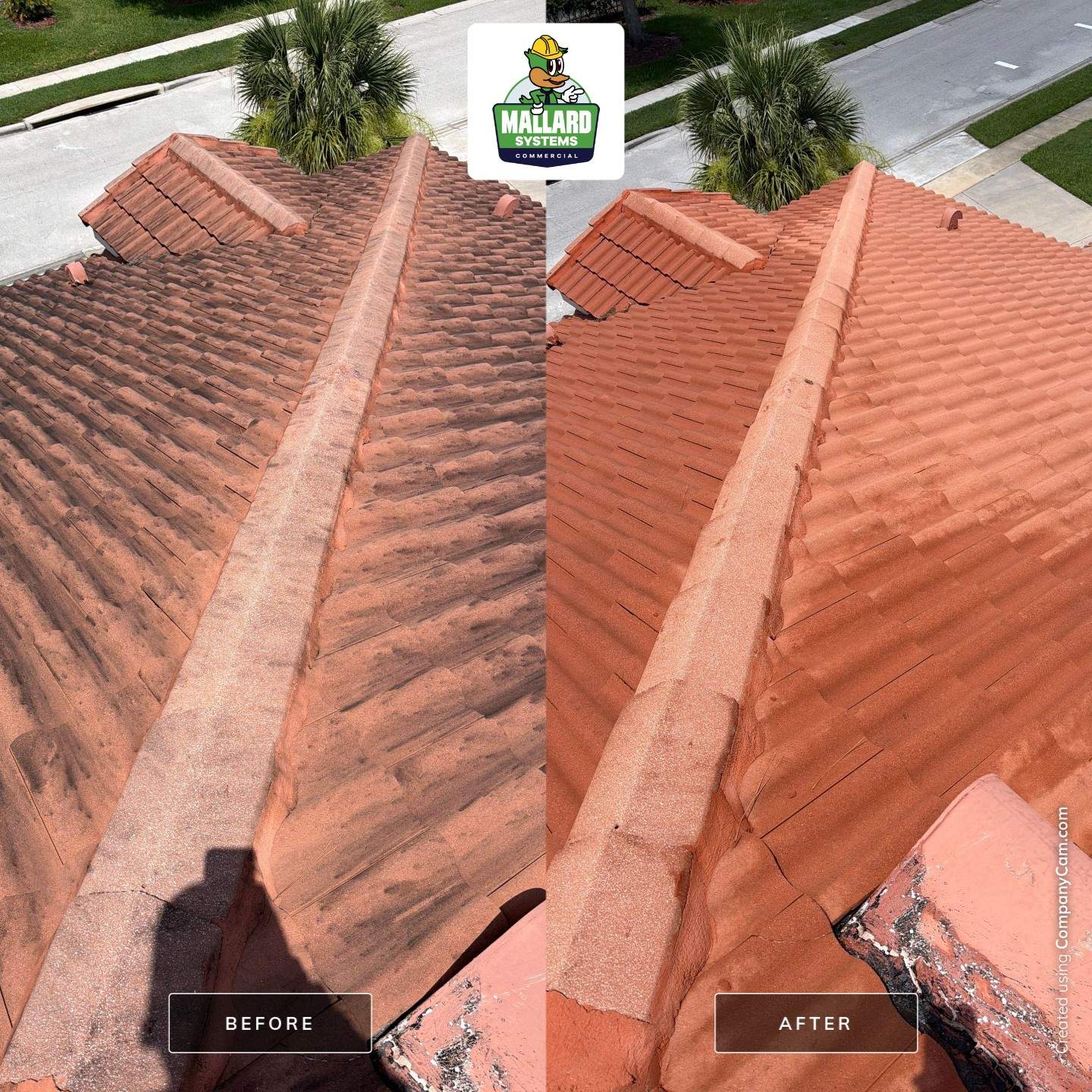 Professional Tile Roof Cleaning for Two-Story Kissimmee Home by Mallard Systems