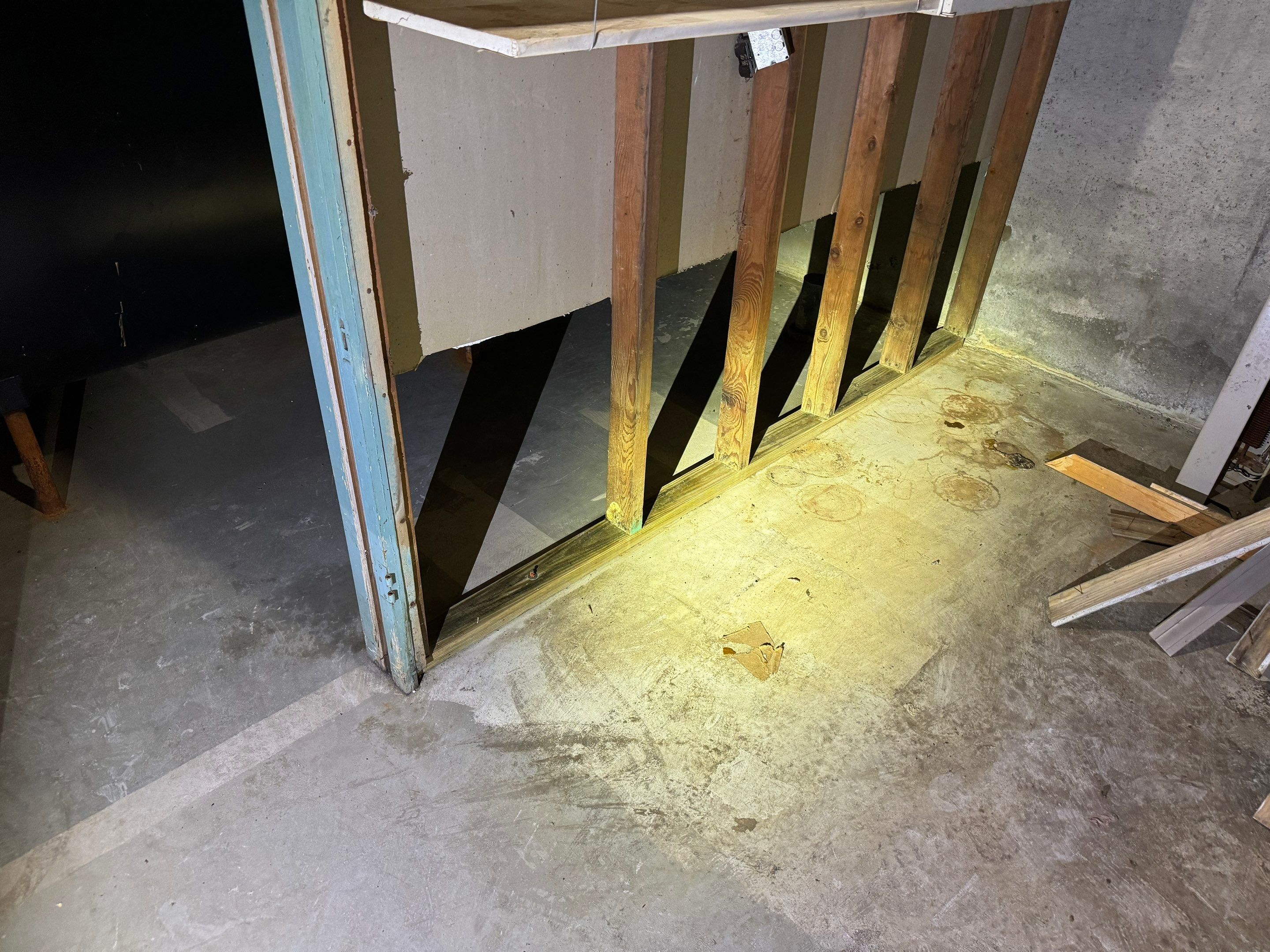 Basement Mold Remediation by Home Guarantee, LLC