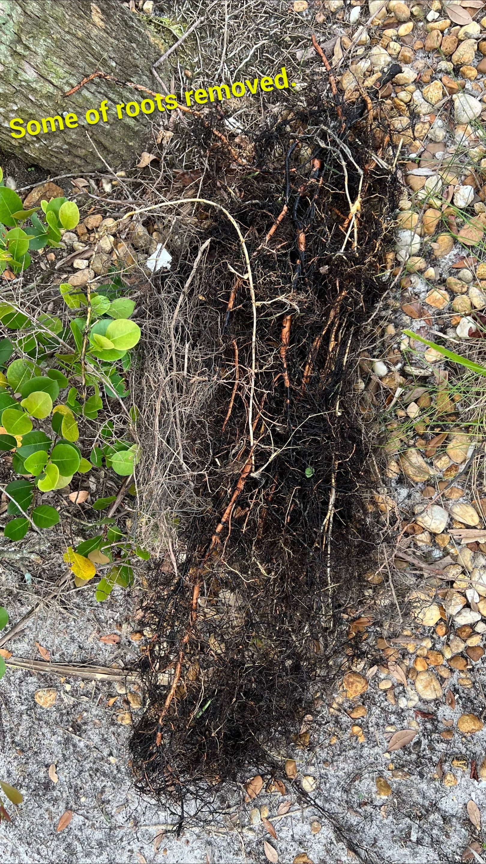 Naples Community Entry Road Stormwater System Cleaning by Don Mar, Inc. Storm Water Solutions