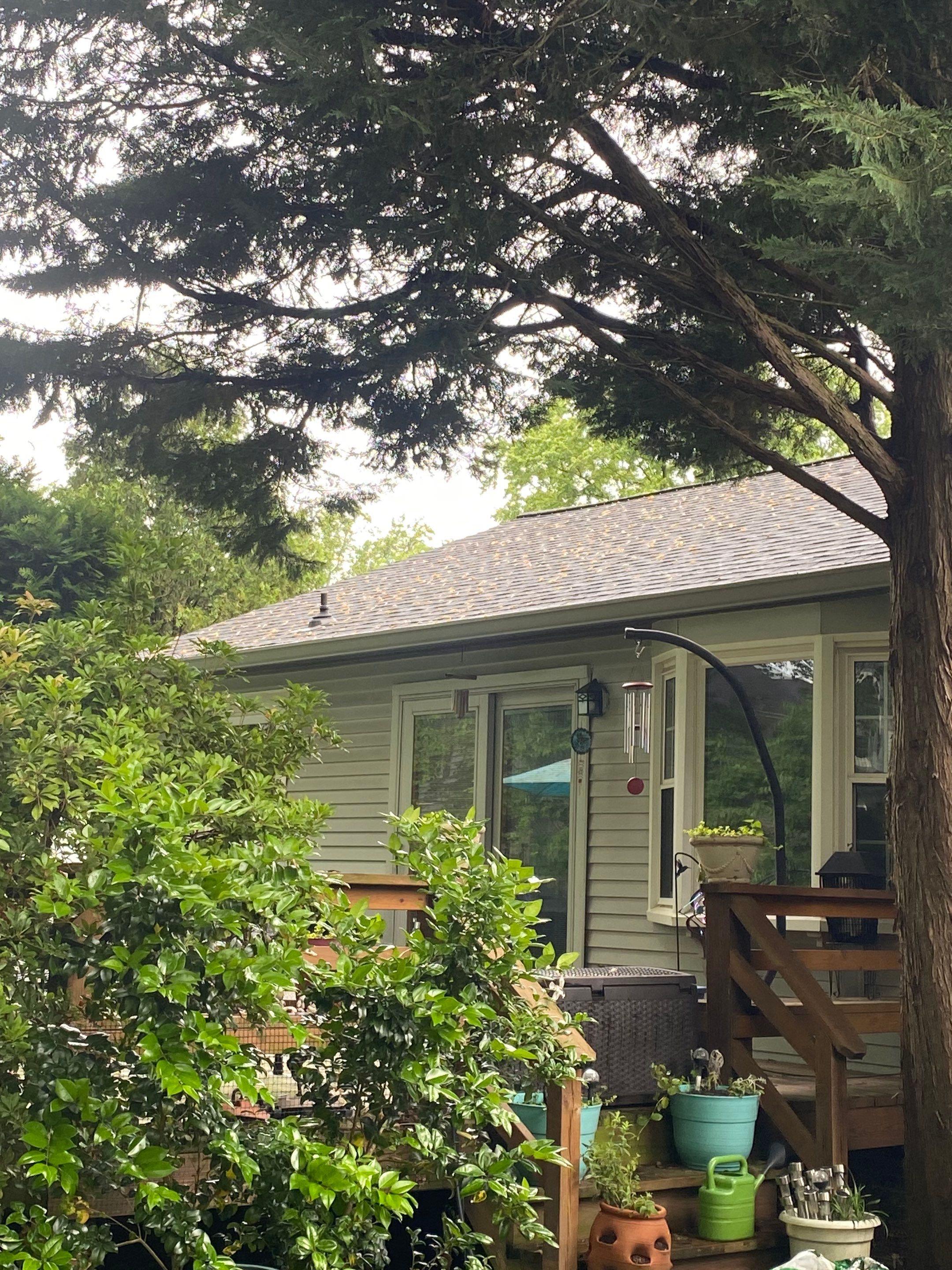 Burke: CertainTeed Landmark Designer Shingles in Moire Black by RM Banning, Inc.