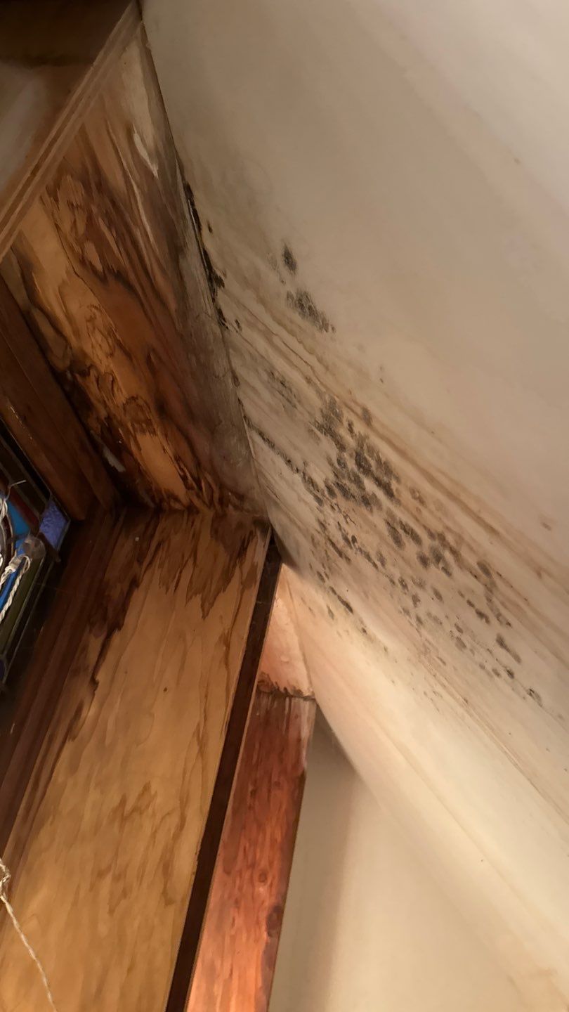 Project in Grass Valley by NuLead Construction Inc