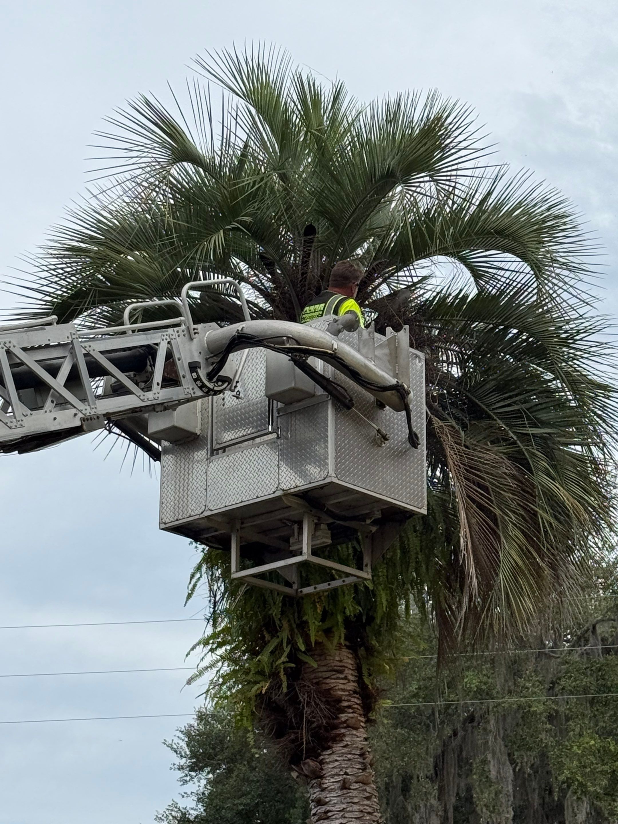 Volunteer Work | Episcopal High School of Jacksonville by ProGreen Services