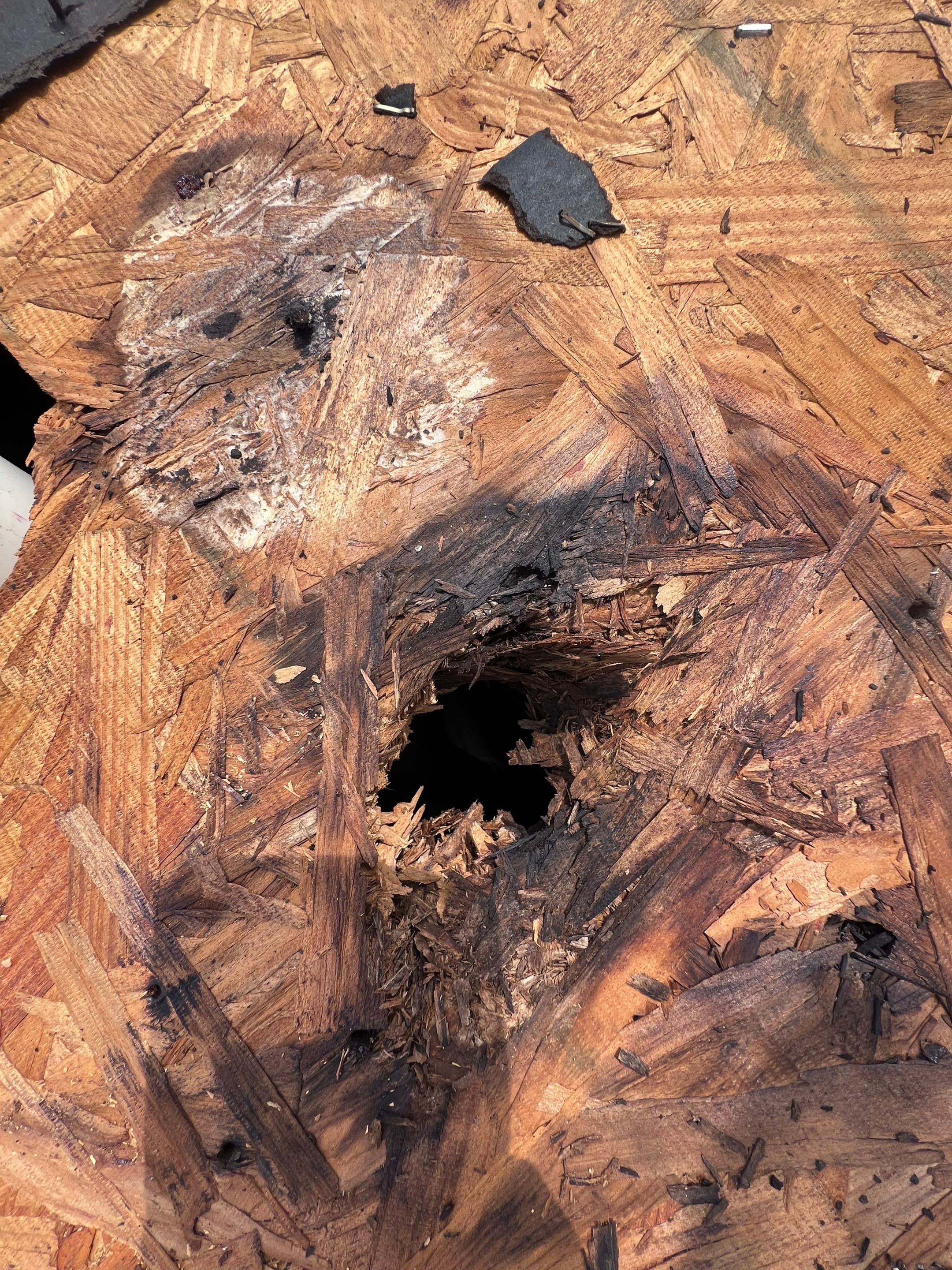 Hail Damage using Owen's Corning Duration (Lifetime) Shingles by Roof Repair Company