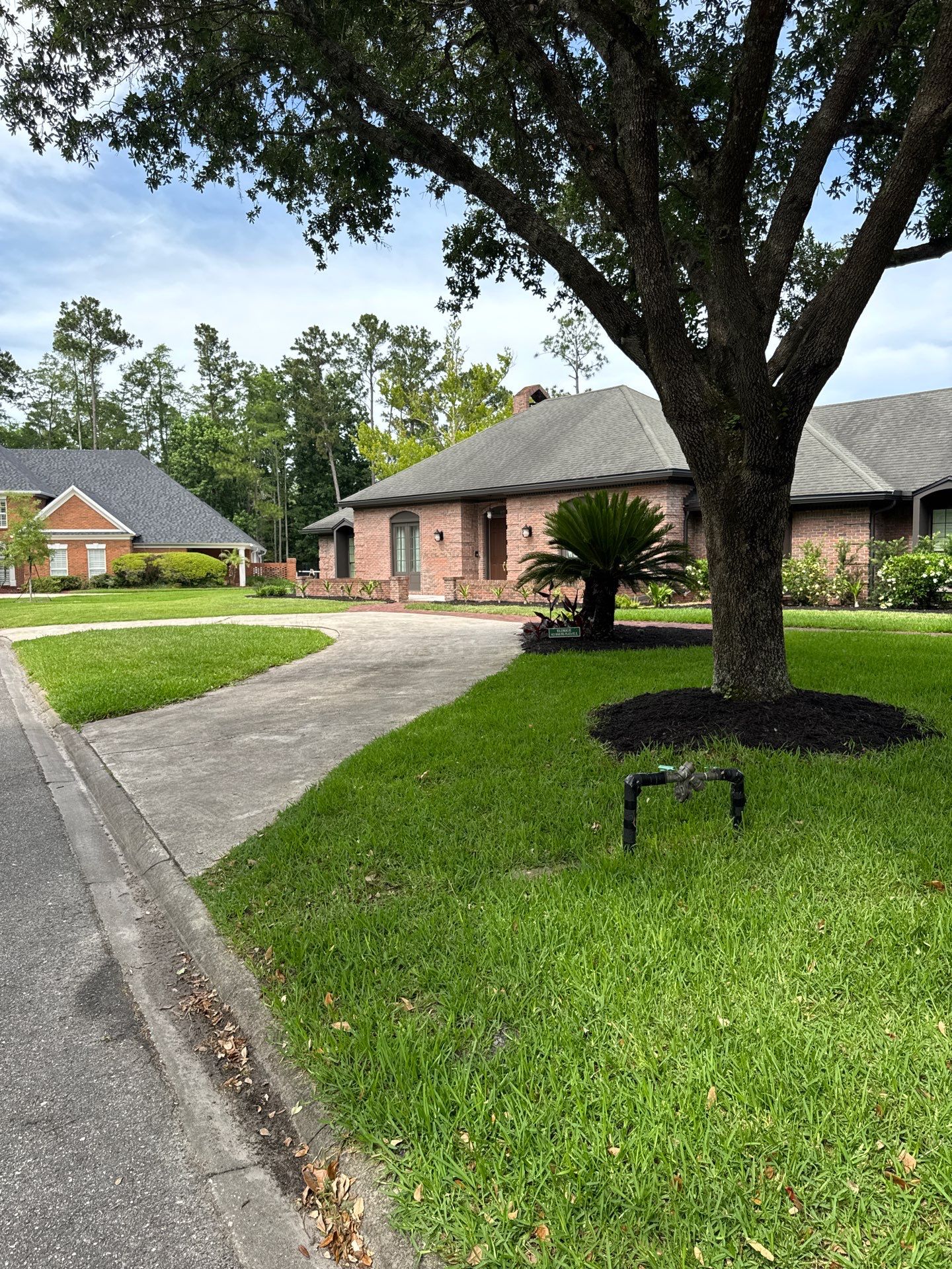 Deerwood Resident | Sod & Plant Install by ProGreen Services