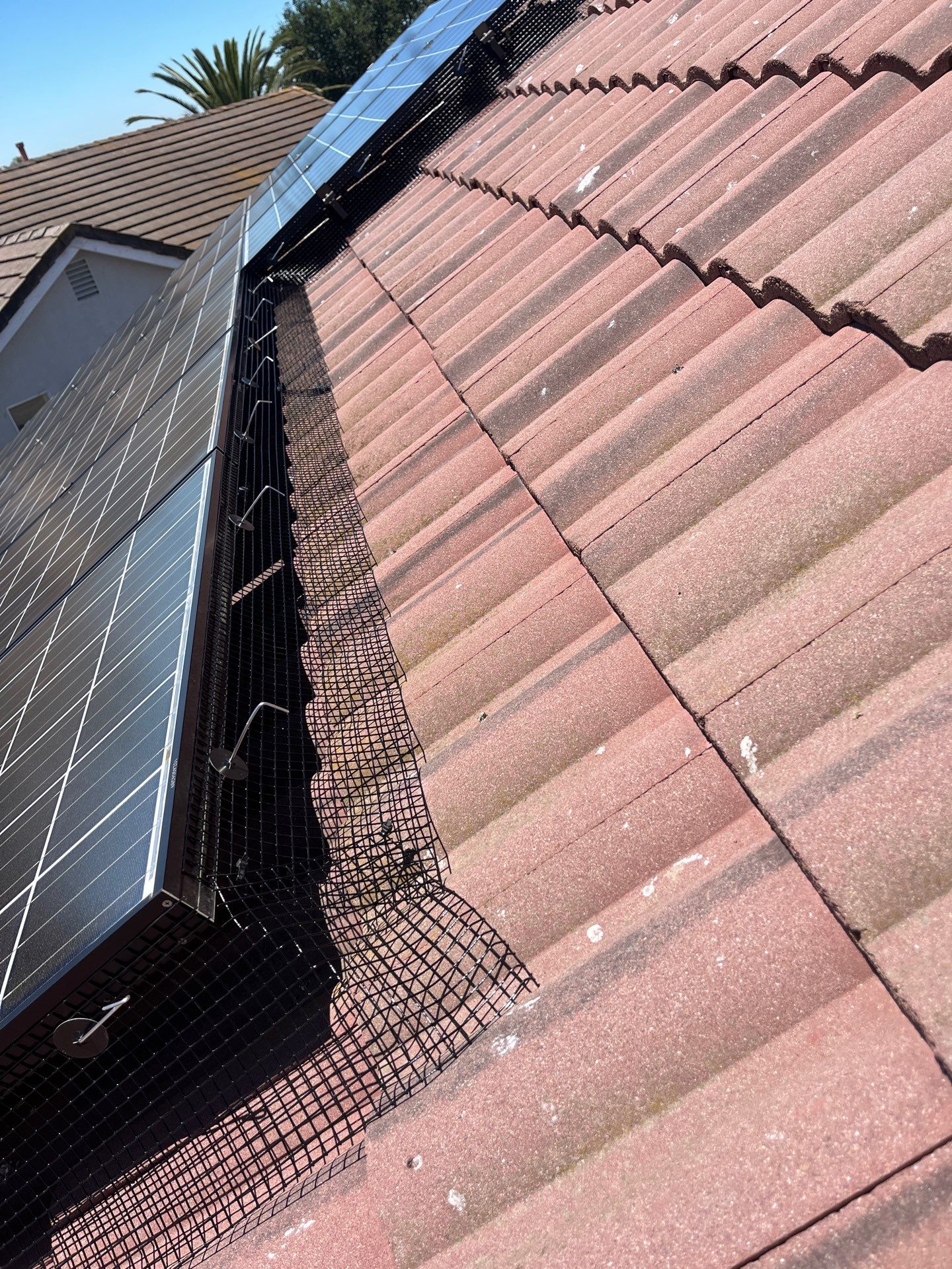 Project in Hollister, CA by All One Solar Shine