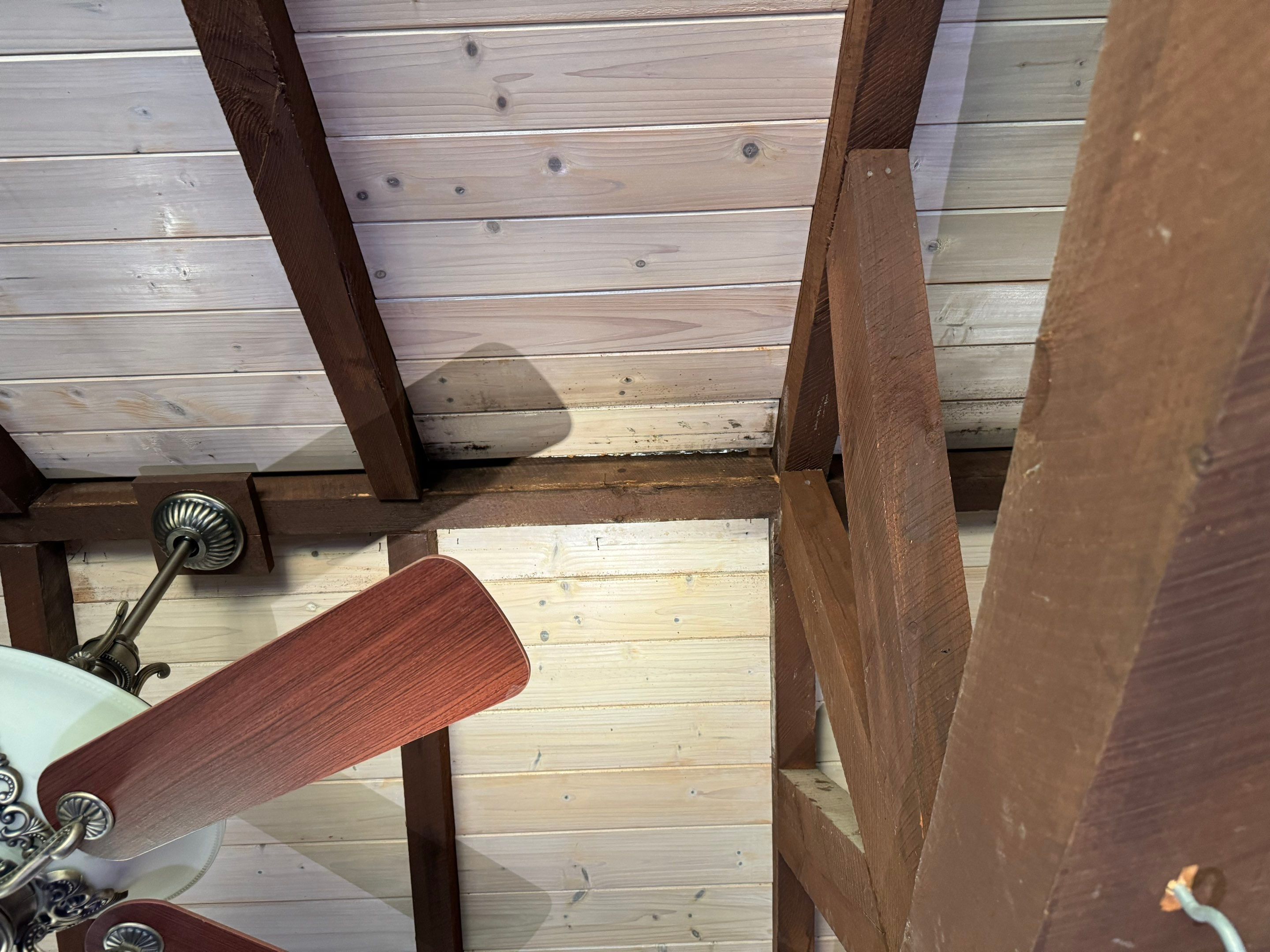 Attic & Sunroom Mold Remediation by Home Guarantee, LLC