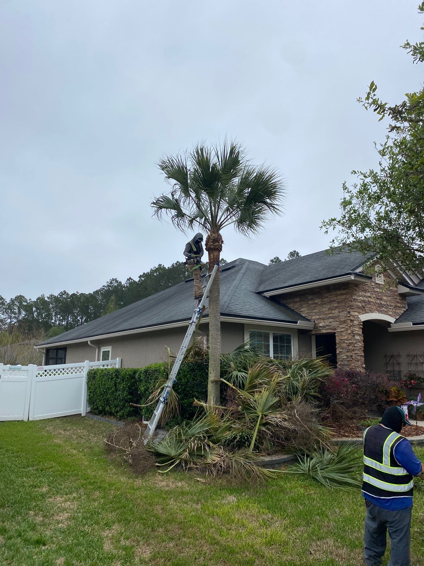 Residential | Tree Service by ProGreen Services