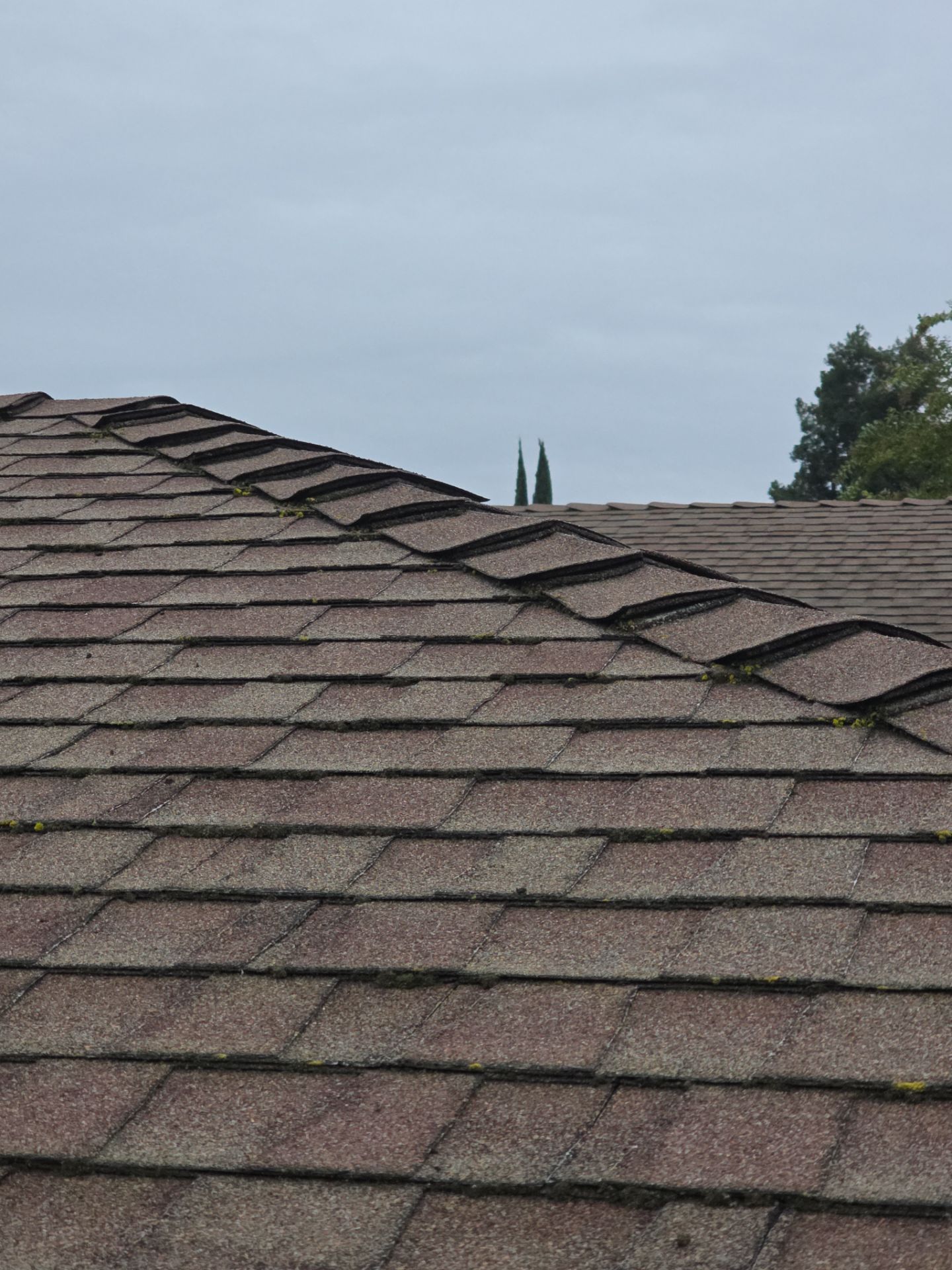 Roof Rejuvenation using Roof Maxx Treatment by Roof Maxx of Folsom