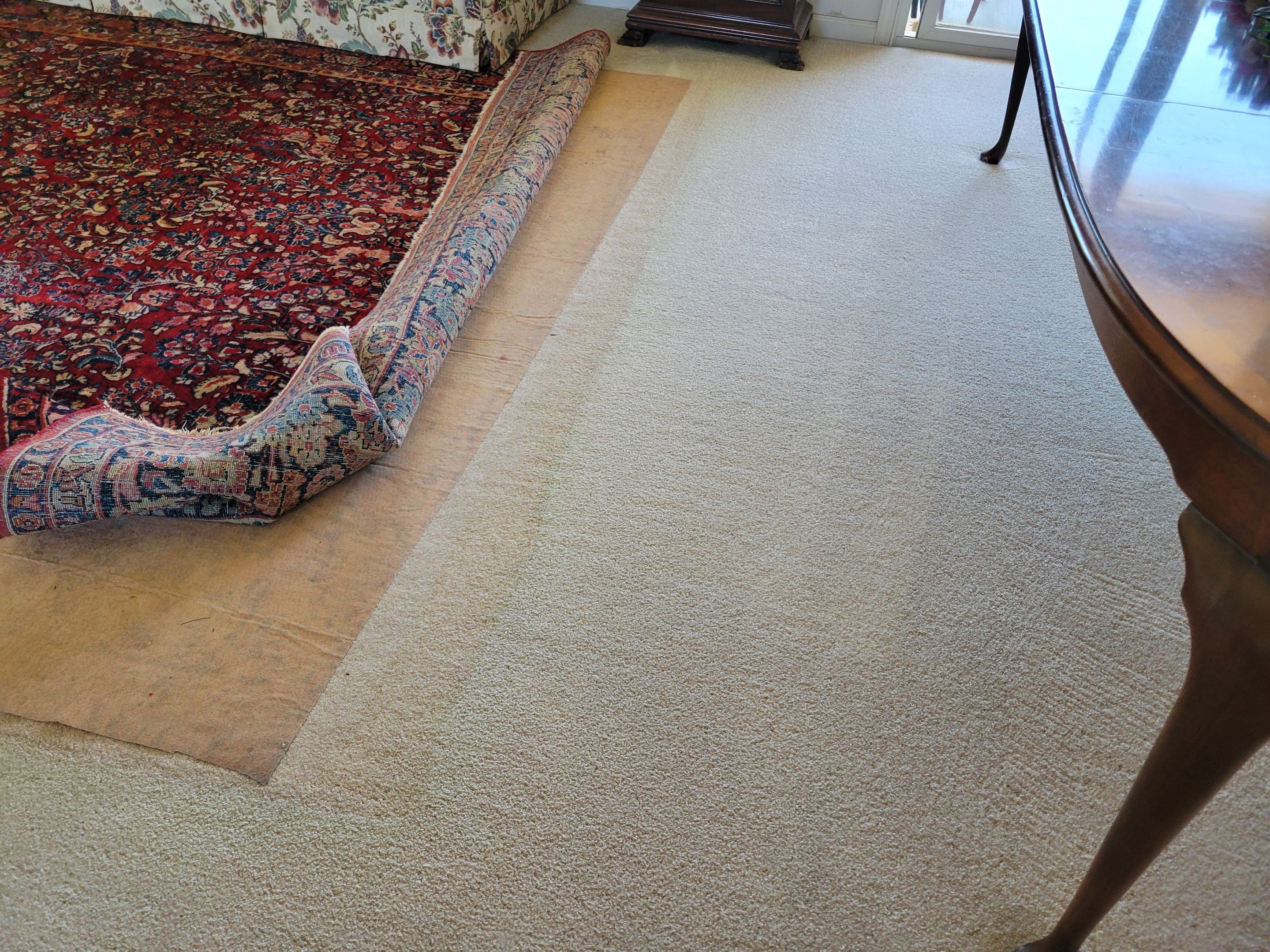 Never Cleaned Before, Carpet Clean by Ardent Carpet Restore LLC