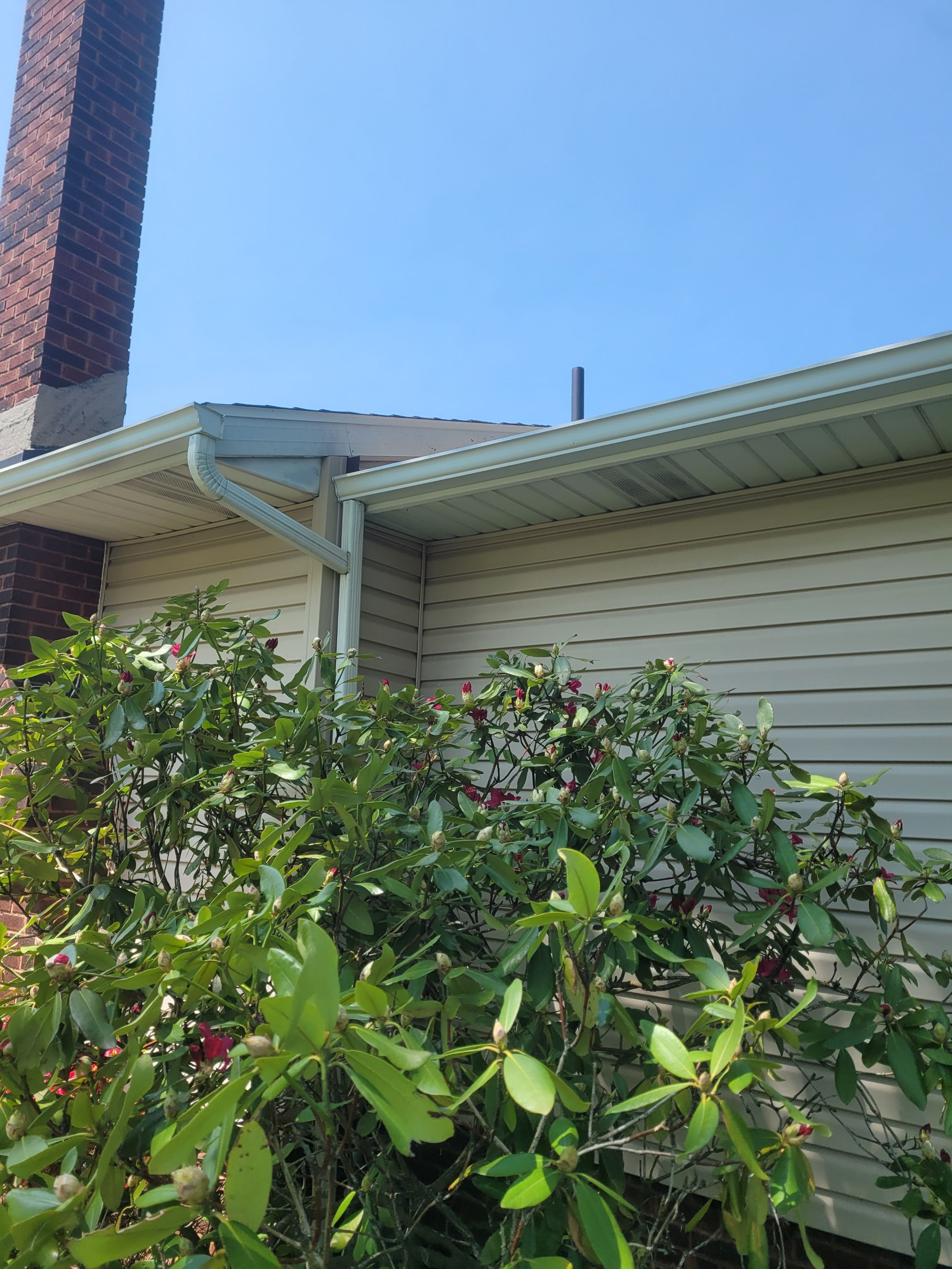 Kathy Rainieri by Silver Leaf Contracting 