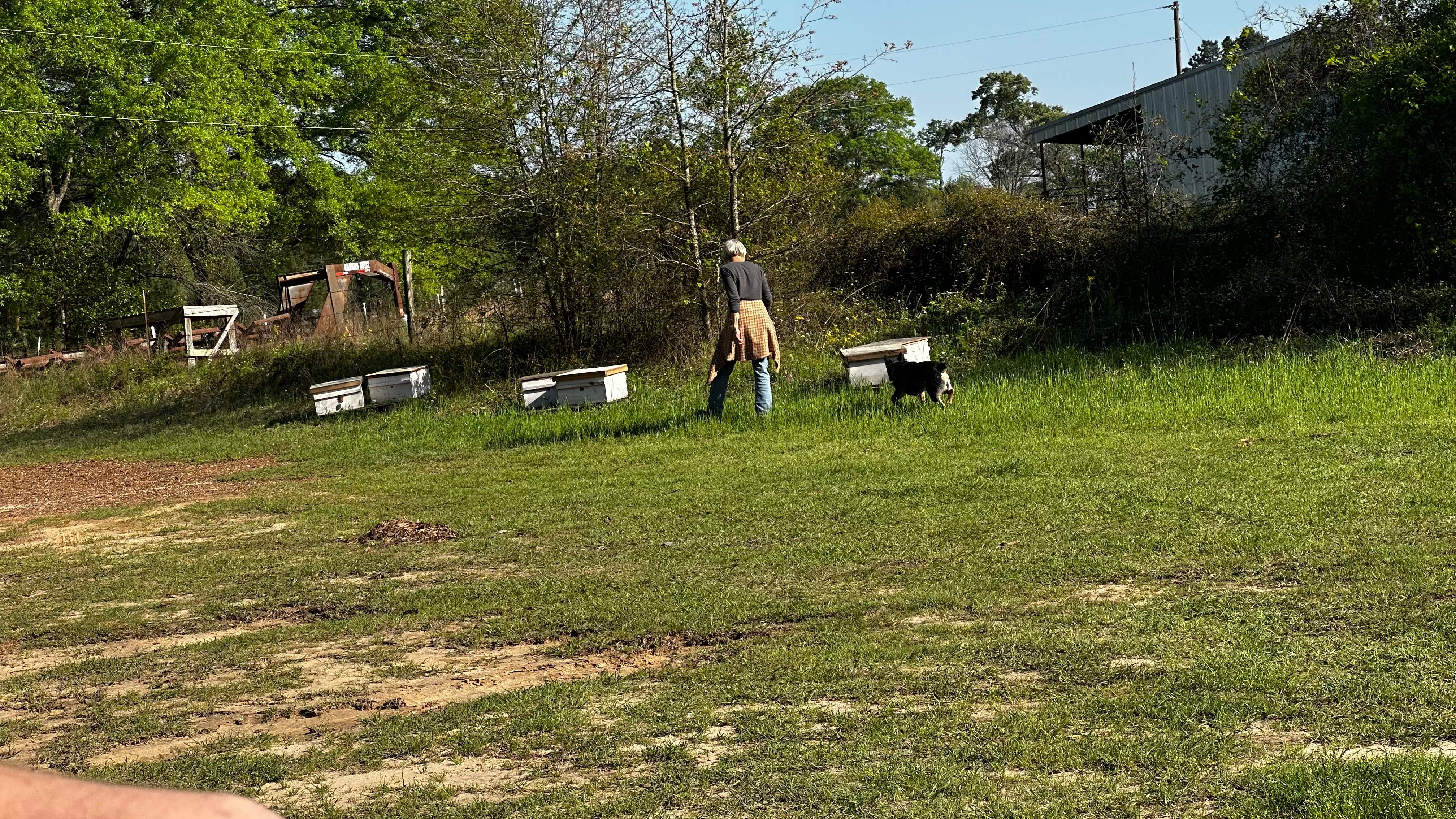 BeeGirl ETX HQ by Rockwall Honey Bee Company