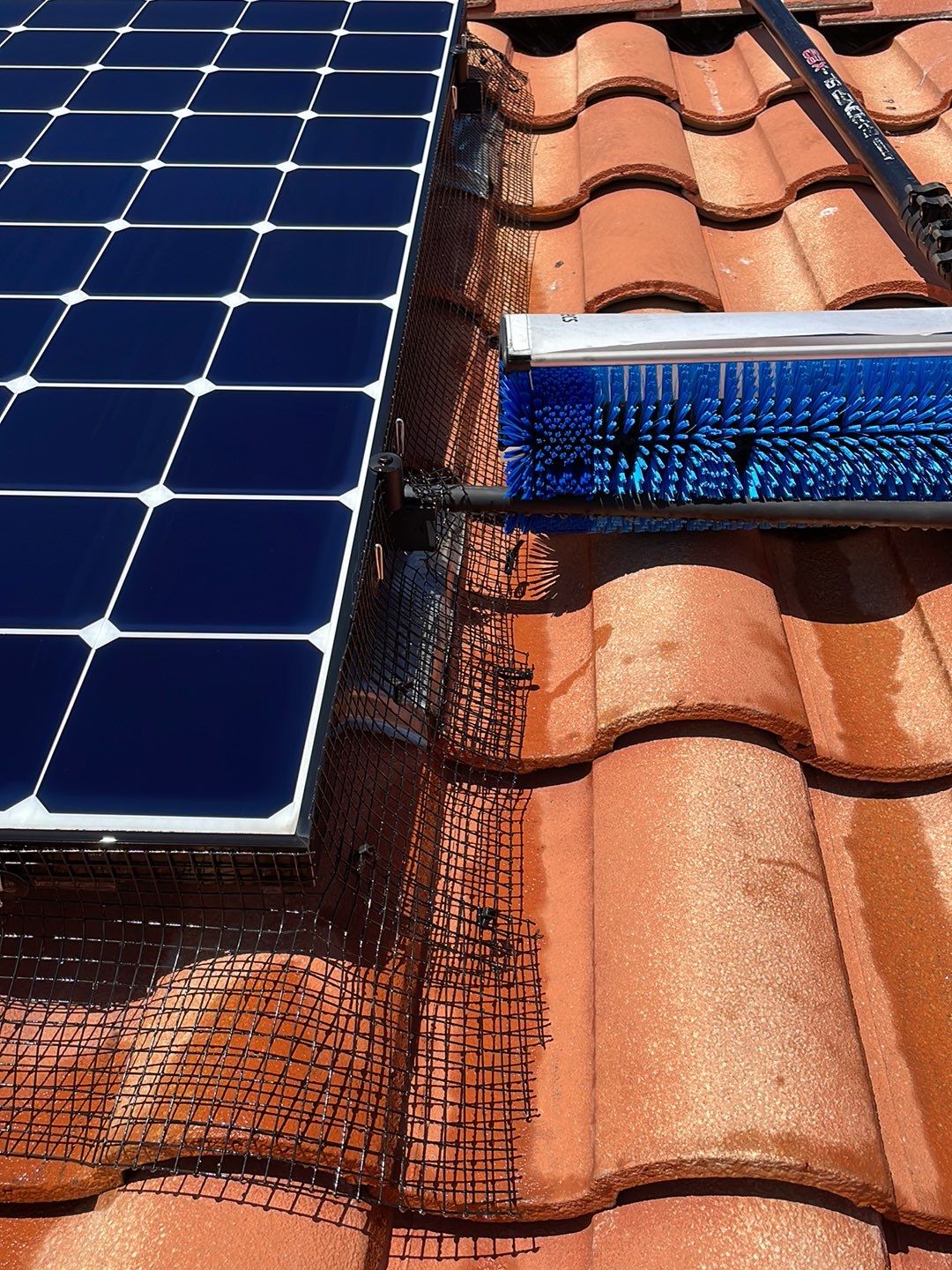 Solar Panel Bird Proofing using Critter Guard Mesh by All One Solar Shine