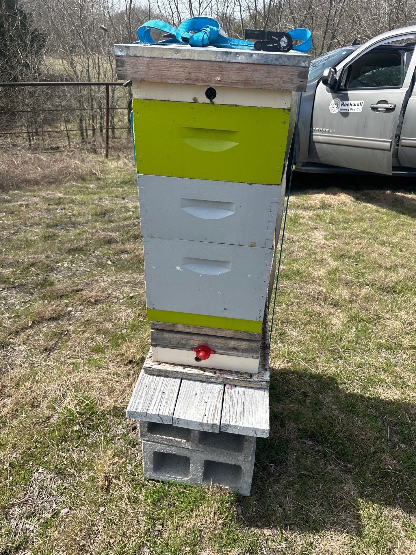 Bees for Ag. Exemption in Heath by Rockwall Honey Bee Company