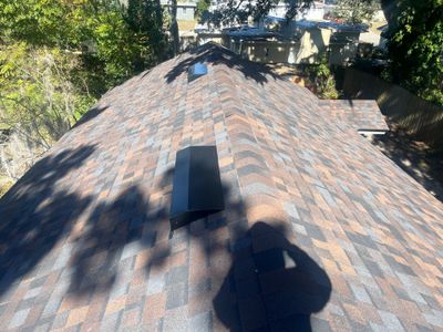 Shingle -> Shingle