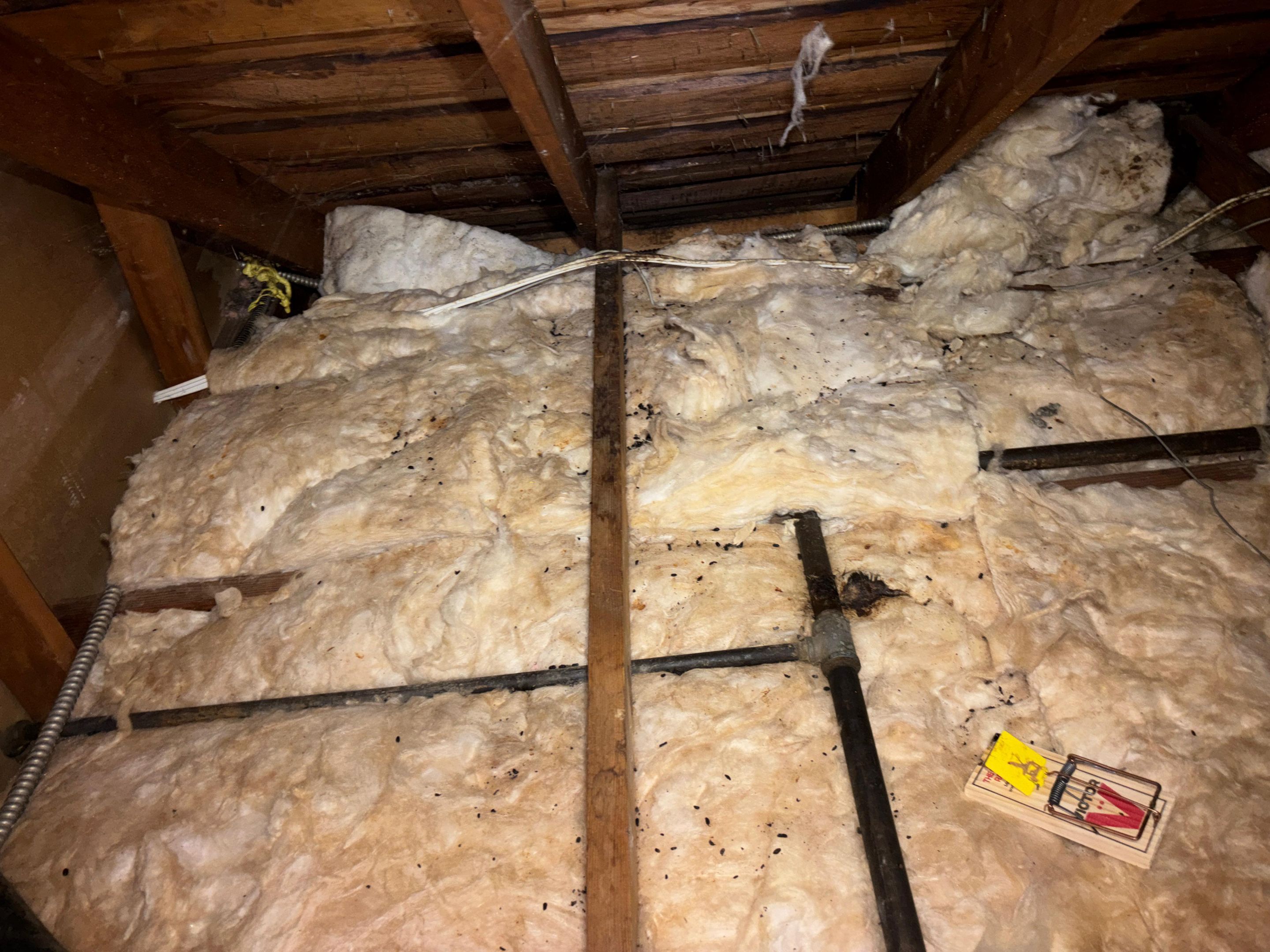 Project in Beverly Hills by Insulation Labs
