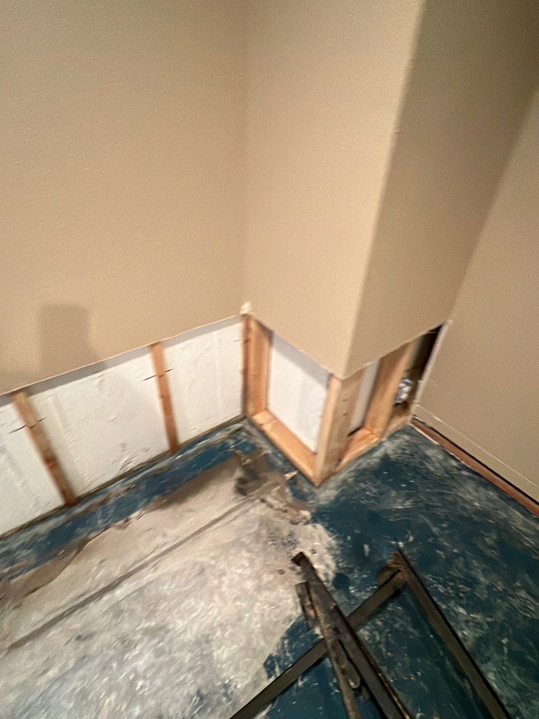 Mold Damage by Accountable Home Services