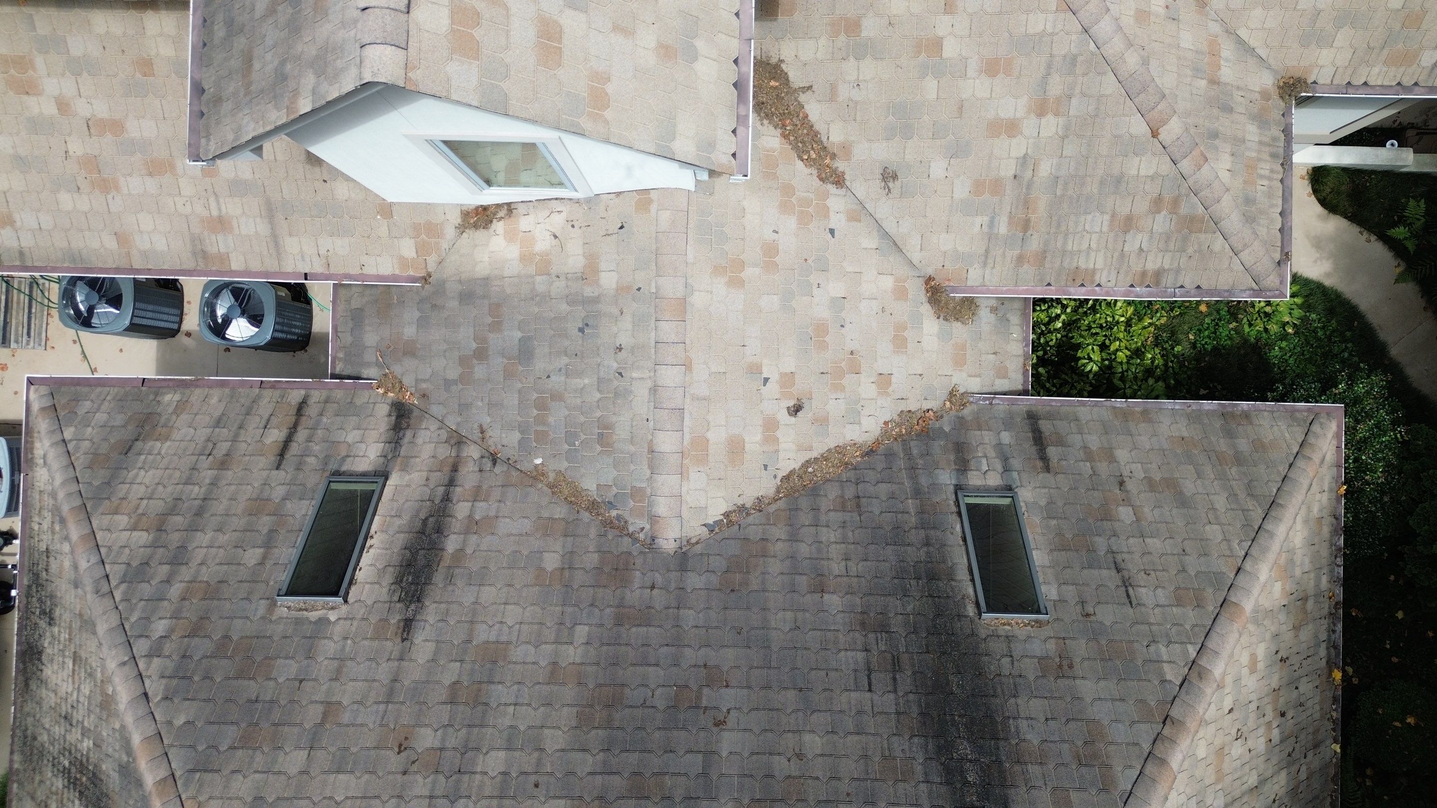 Catherine Cutter by United Contracting and Roofing