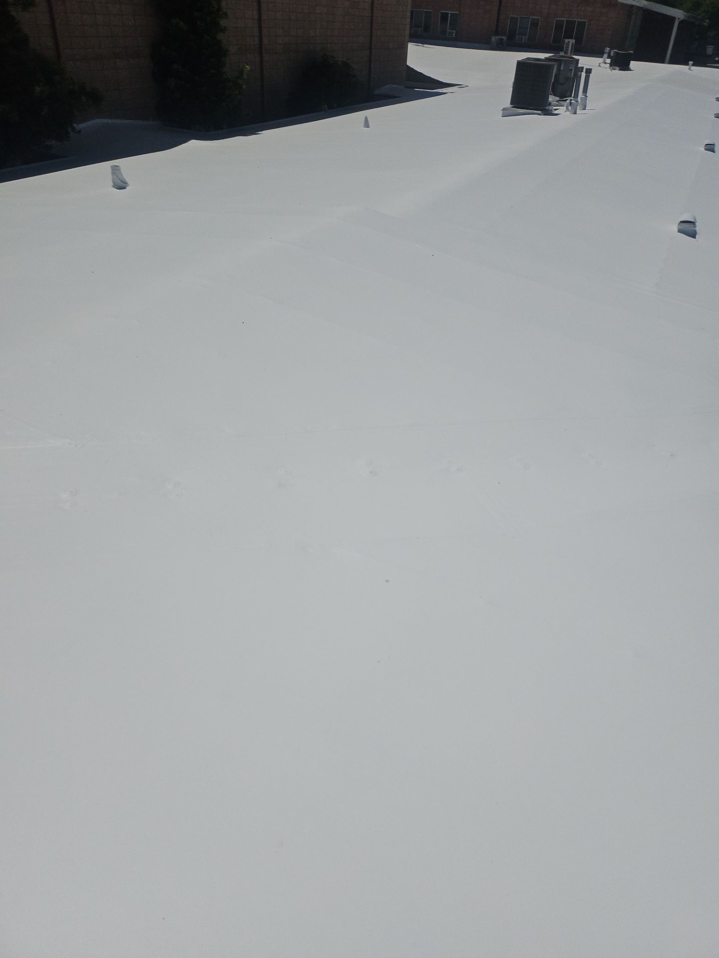 Single-ply restoration system using Benchmark/PUMA XL coatings over TPO single-ply roofing by Straight Edge Roofing Inc