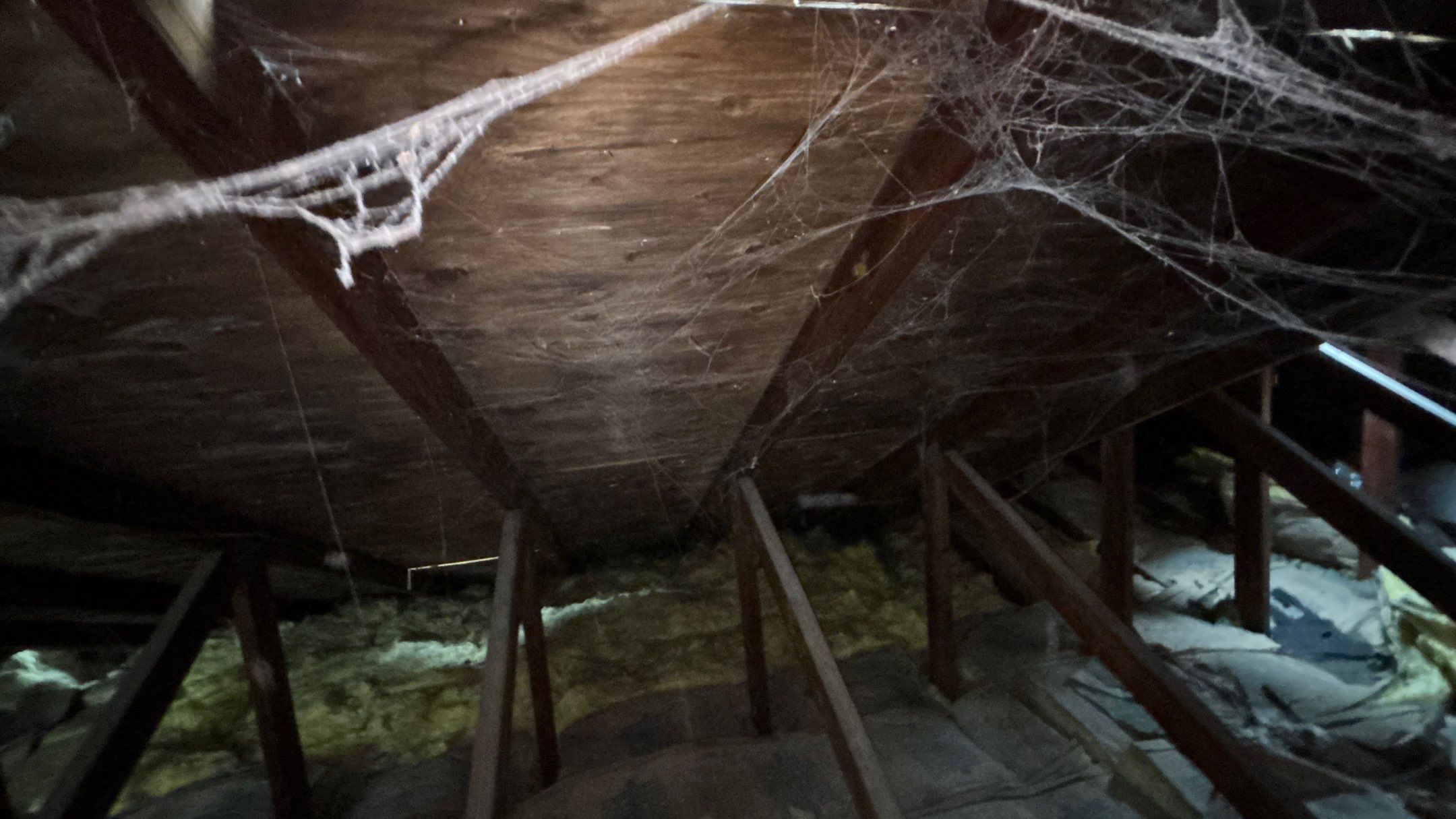 Roof Replacement using Owens Corning Midnight Plum by 180 Contractors