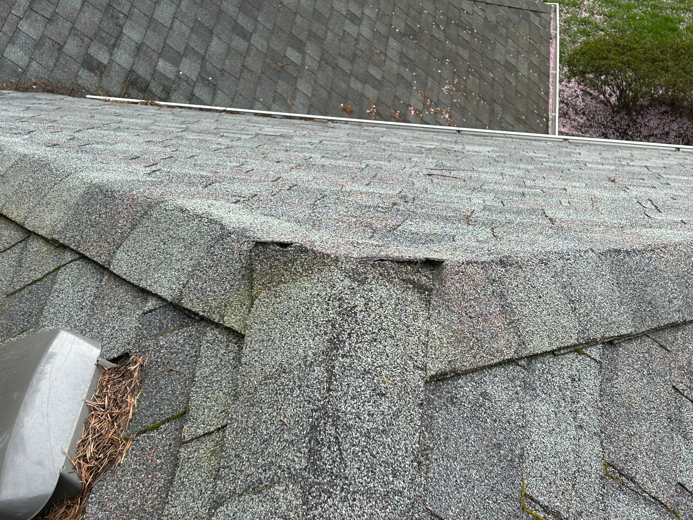 Project in Redmond by Peaks and Valleys Construction