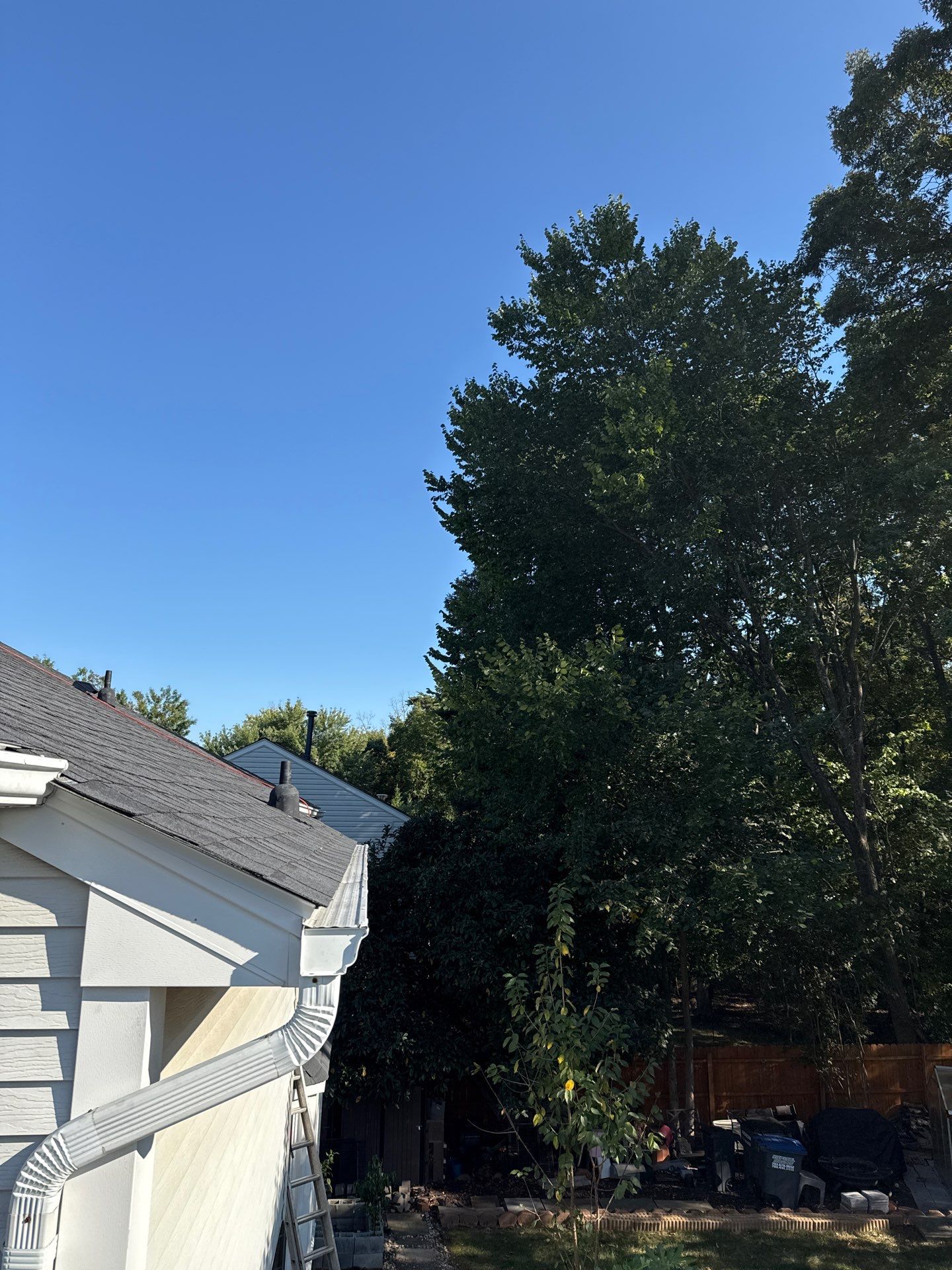 Gainesville: Residential Roof Replacement with CertainTeed Landmark in Moire Black  by RM Banning, Inc.