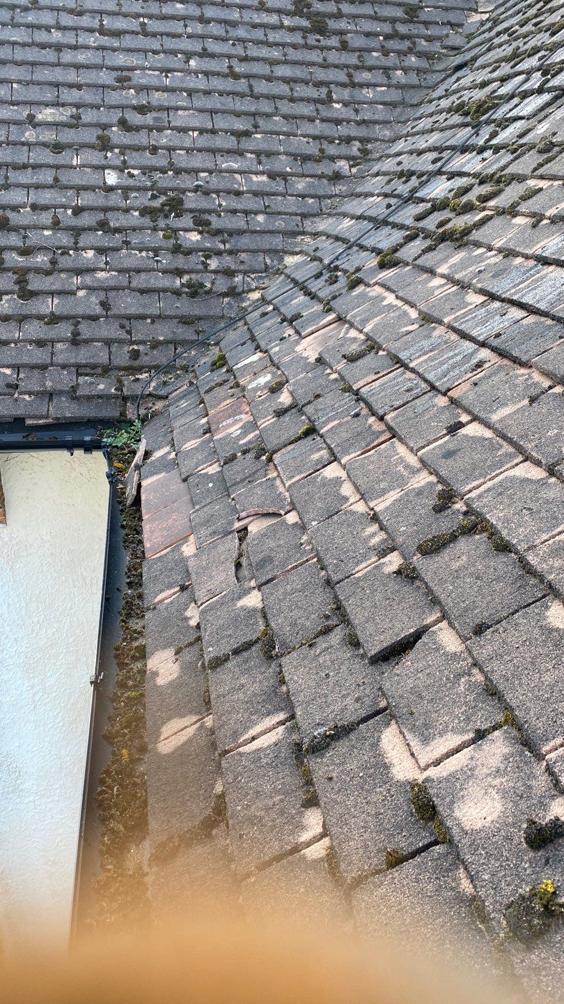Roof - Driveway - Patio Clean using Honda 15lpm Low Pressure Washing Machine by Ges Exterior Cleaning ltd
