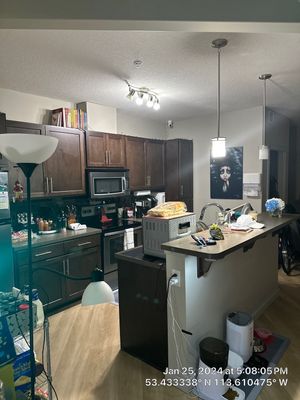Clean & Organize Condo Windermere