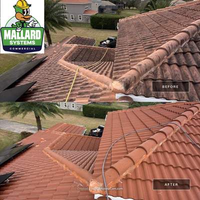 Tile Roof Cleaning