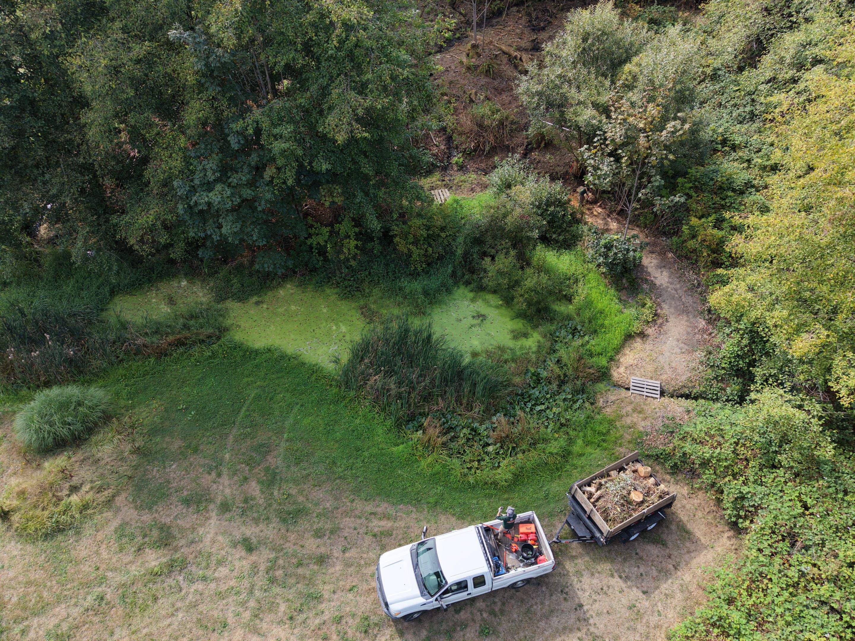 Island View - Ecological Restoration & Stewardship by Habanero Landscape Solutions