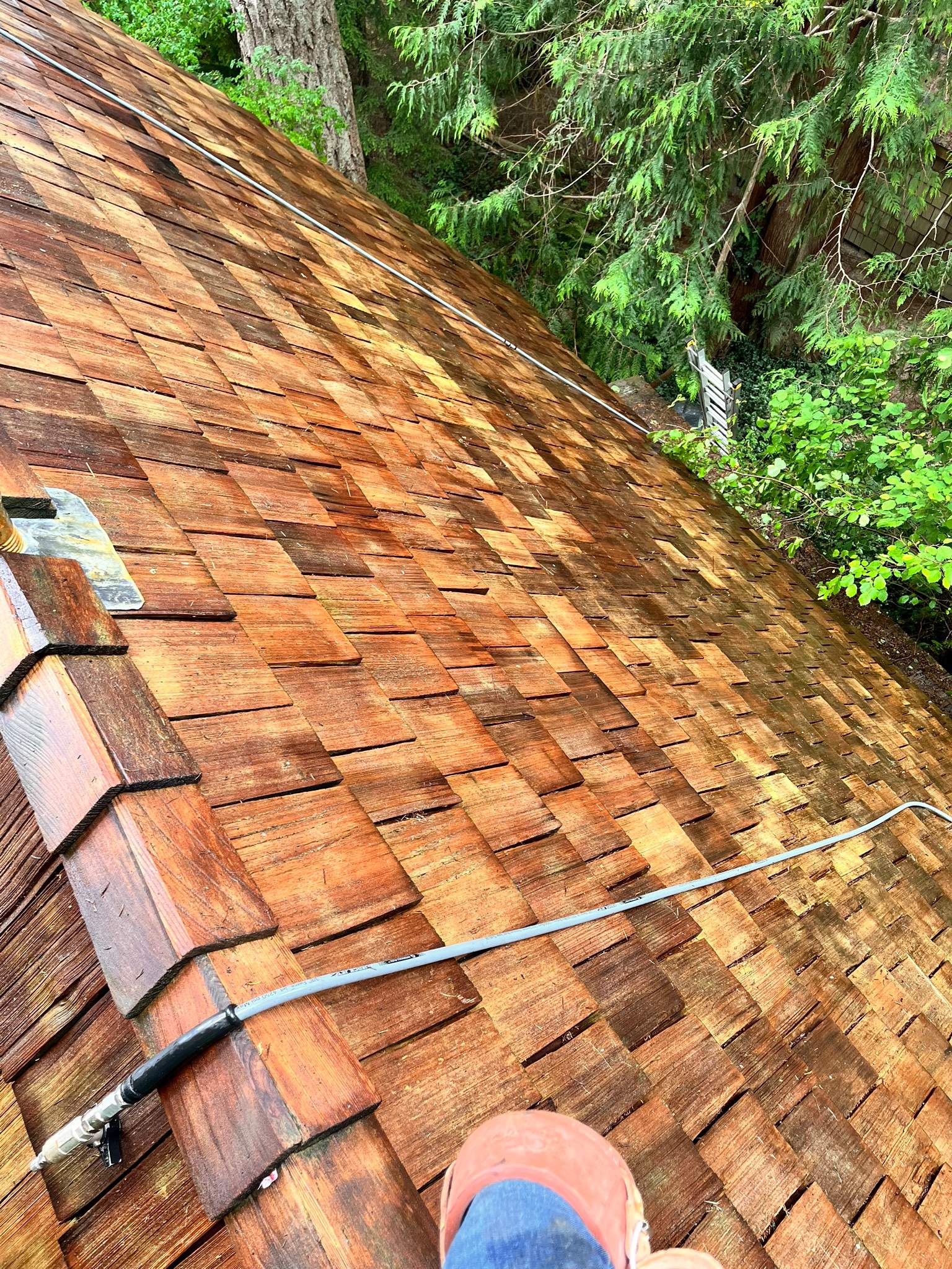 Residential Roof Cleaning in Bainbridge Island, WA by Hanley Construction