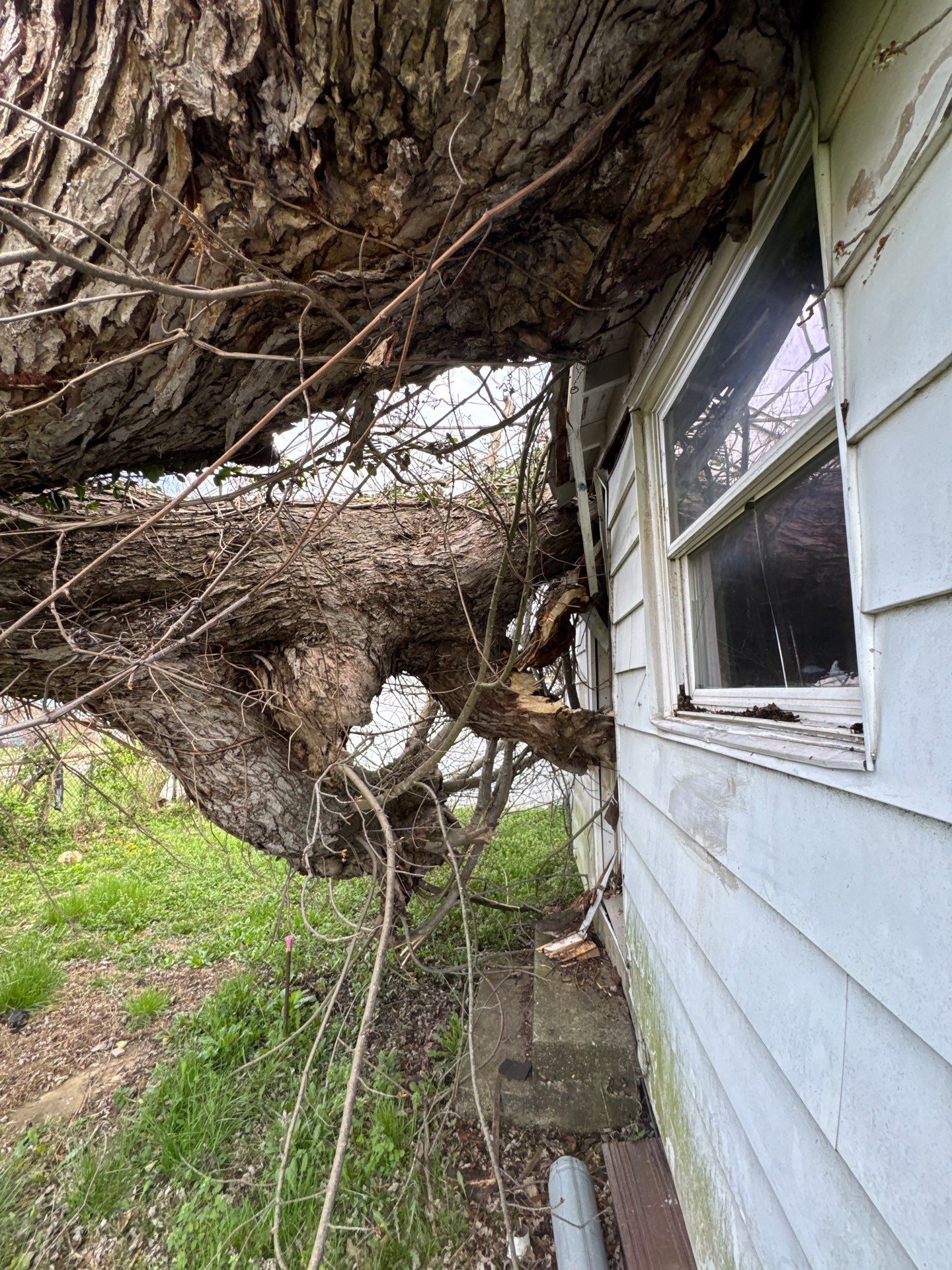 Project in Nitro, WV Rotator Crane Lifts Tree Off House | Nitro WV • One Wrong Move Job | Rotator Crane Tree Removal • Heavy Rescue Tree Job | Nitro WV • Extreme Tree Removal Over Home | Nitro WV by Jones Empire LLC