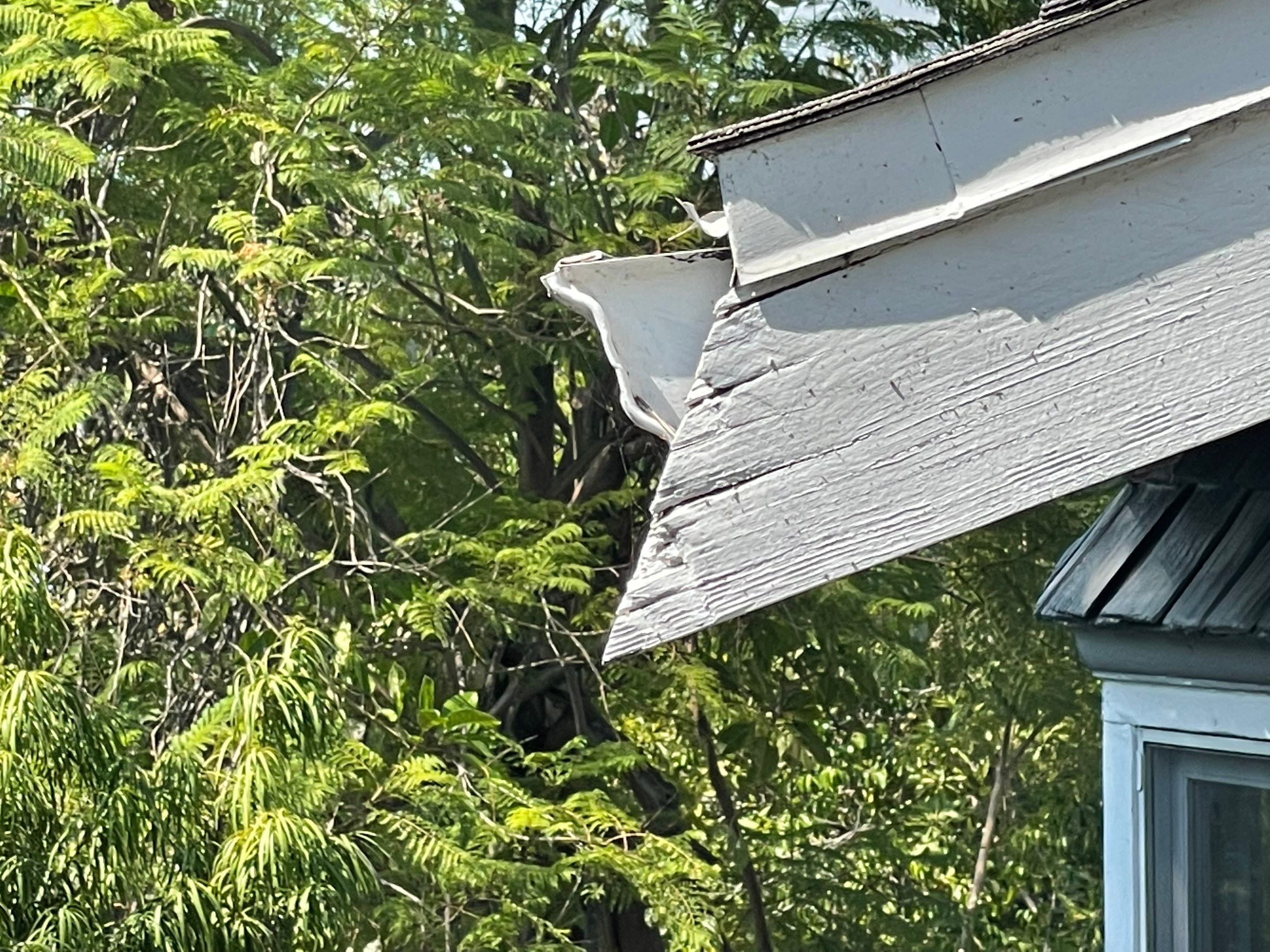 Wood Destroying Organisms Report by GLOBAL Termite Solutions