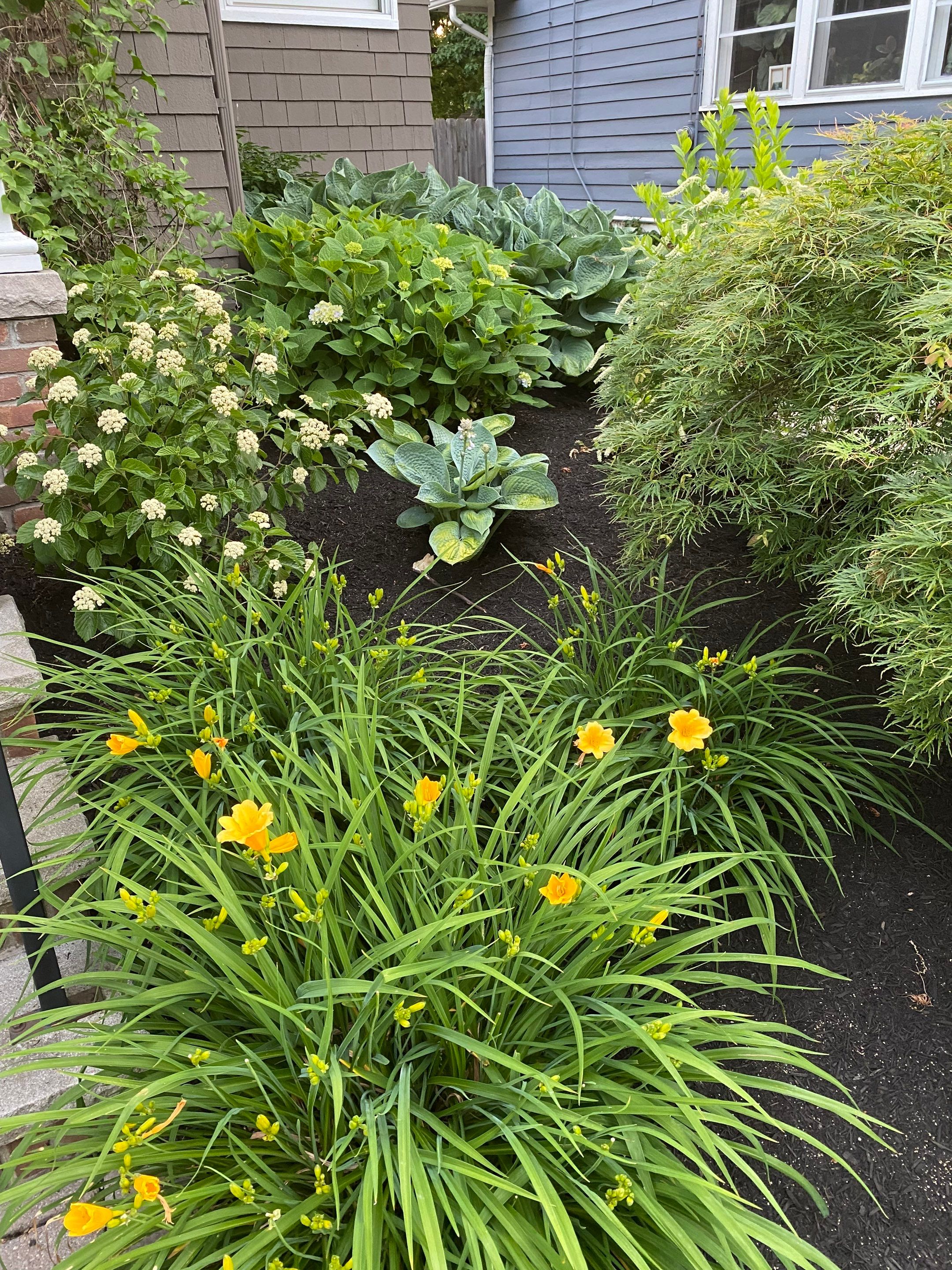 Pollinator Paradise Project by Elm Rose Gardens