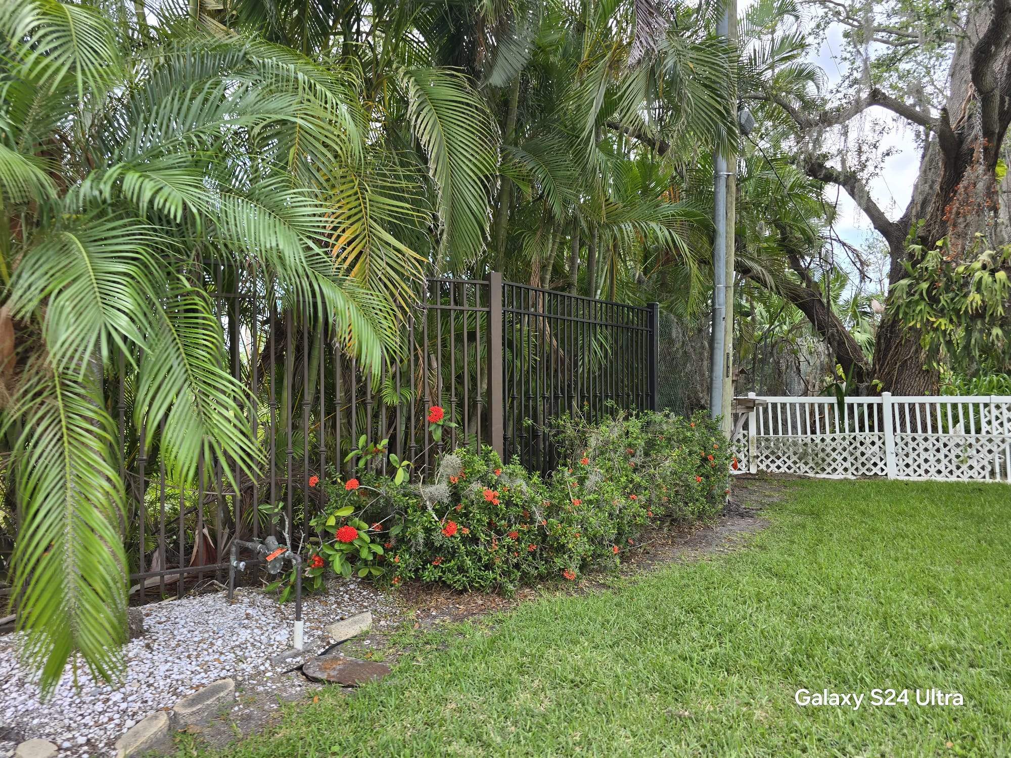 Decorative Aluminum Picket Fence Installation for Palmetto Property by True Fence LLC