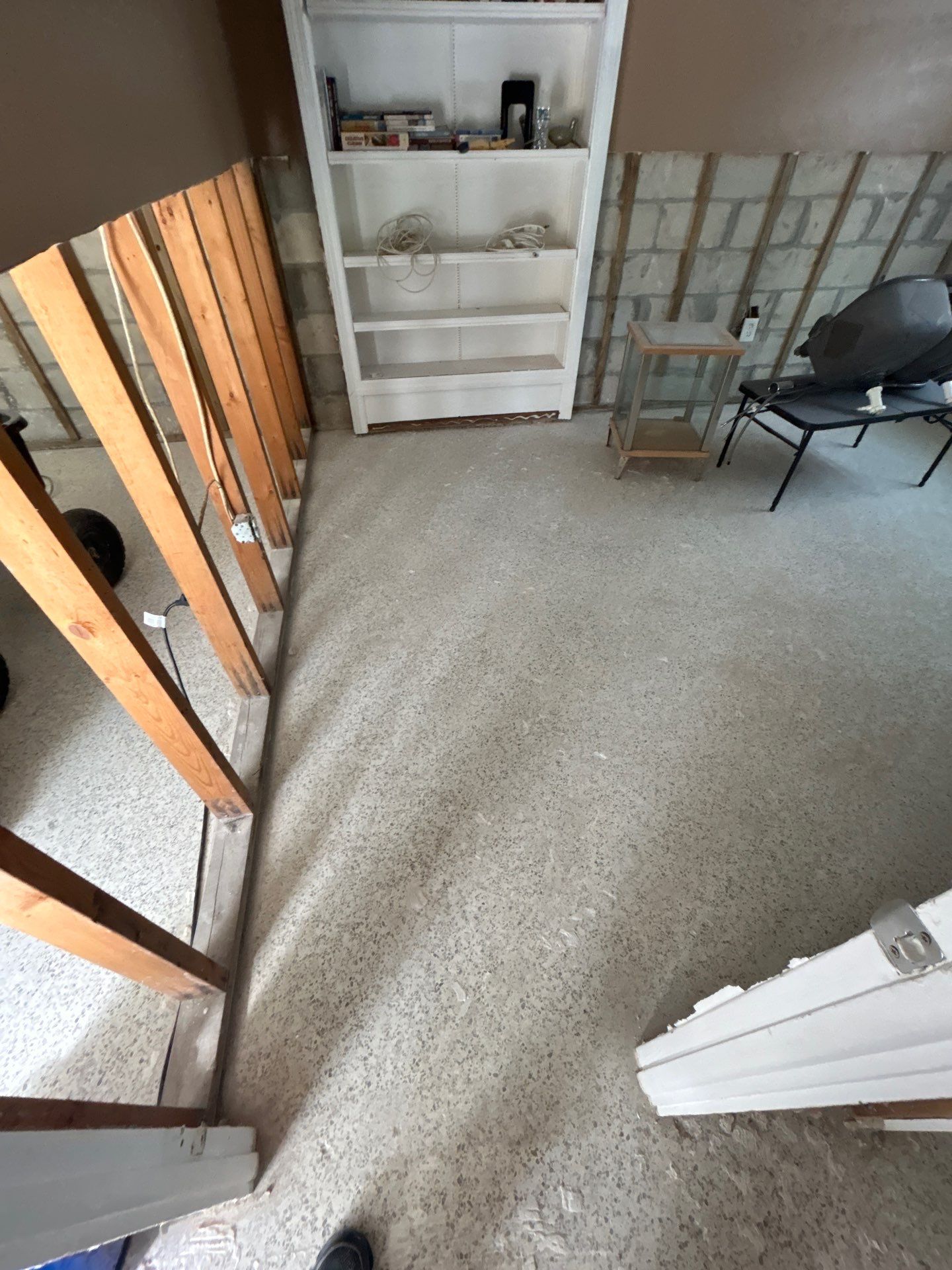 Mold Remediation + Reconstruction Bradenton by Ampm Restoration Services 
