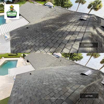 Residential Roof Cleaning in Orlando
