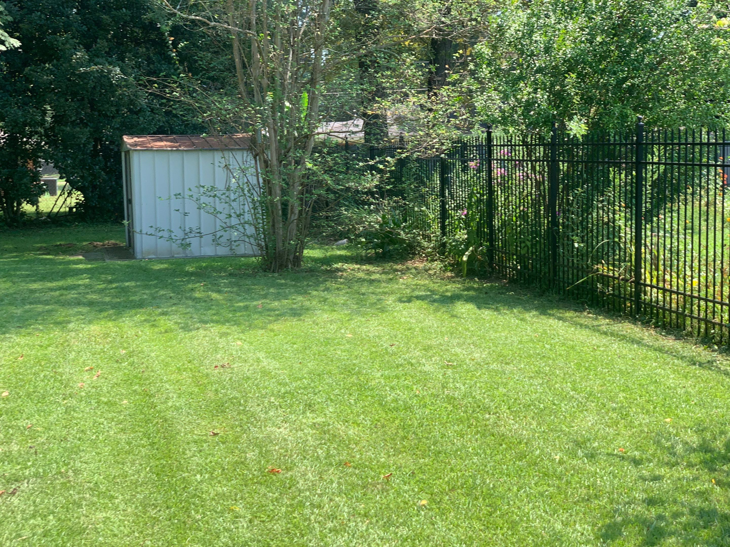 Yard Makeover by College Bros Outdoor services