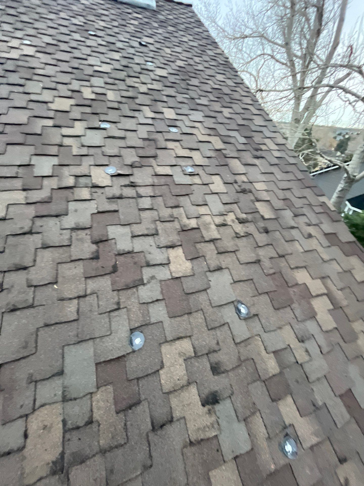 Project in Parker by Storm Guard of South Metro Denver