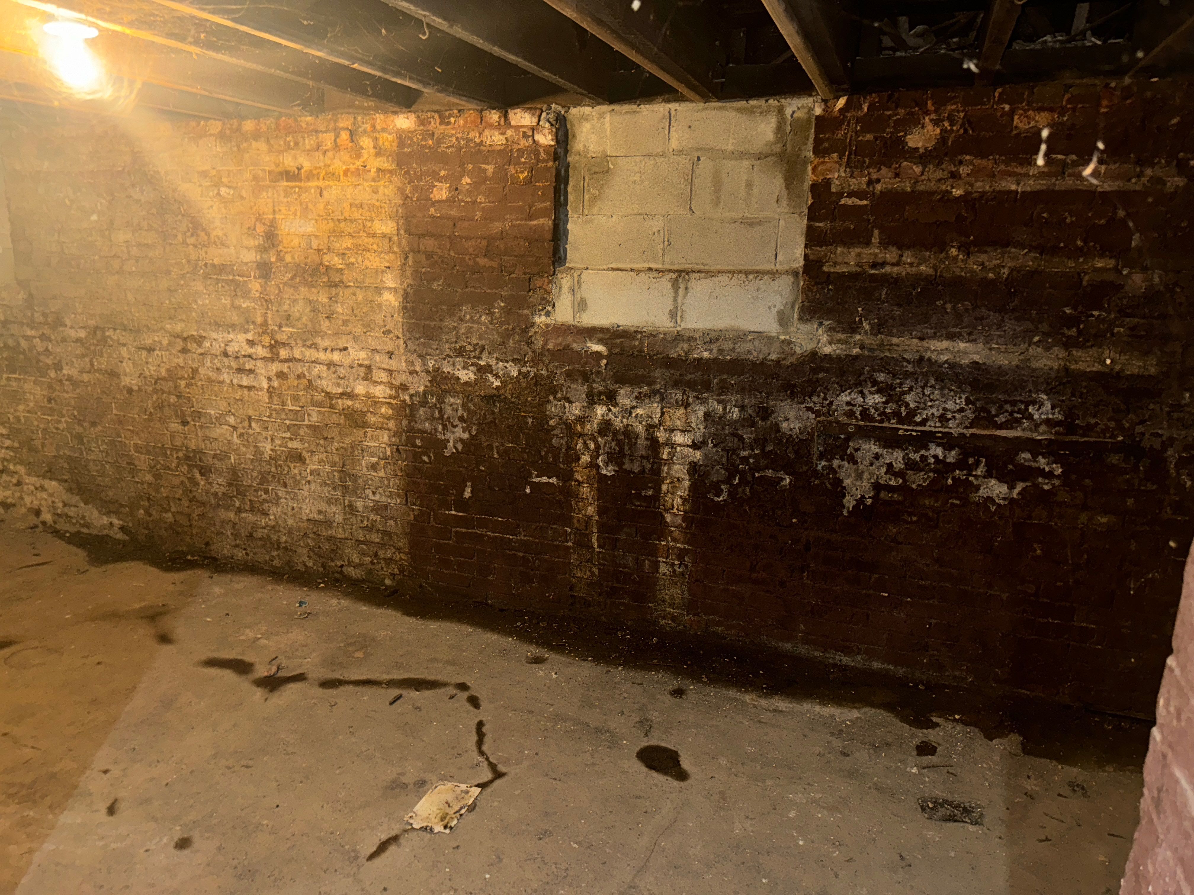 Interior French Drain & Wall Vapor Barrier in Newark, NJ  by Pure Service Pro, LLC 