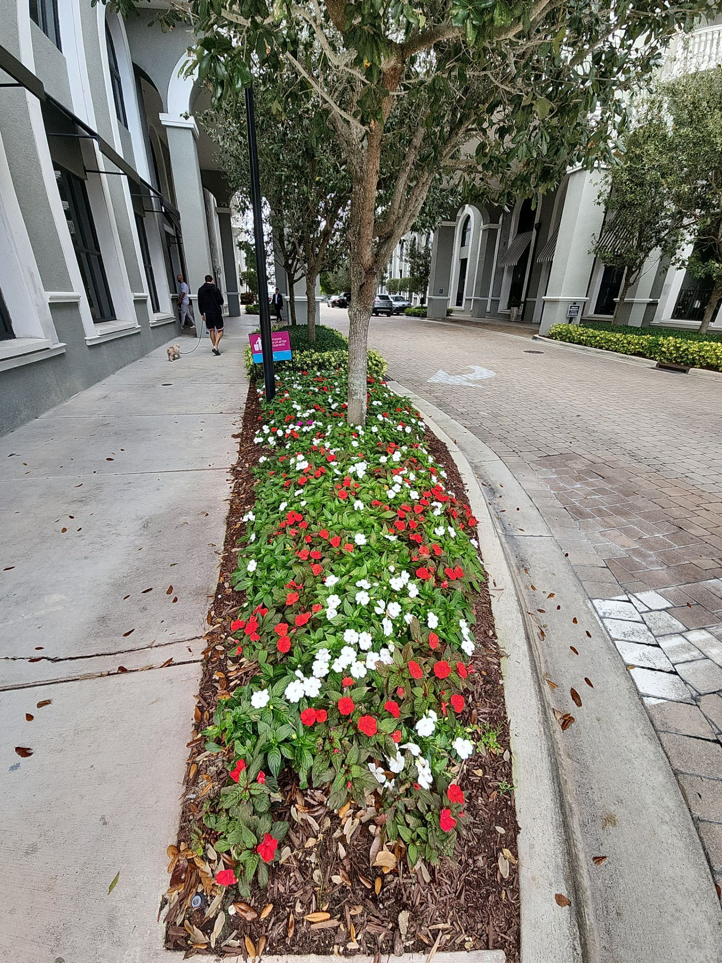 Project in Miami by Drone Clean