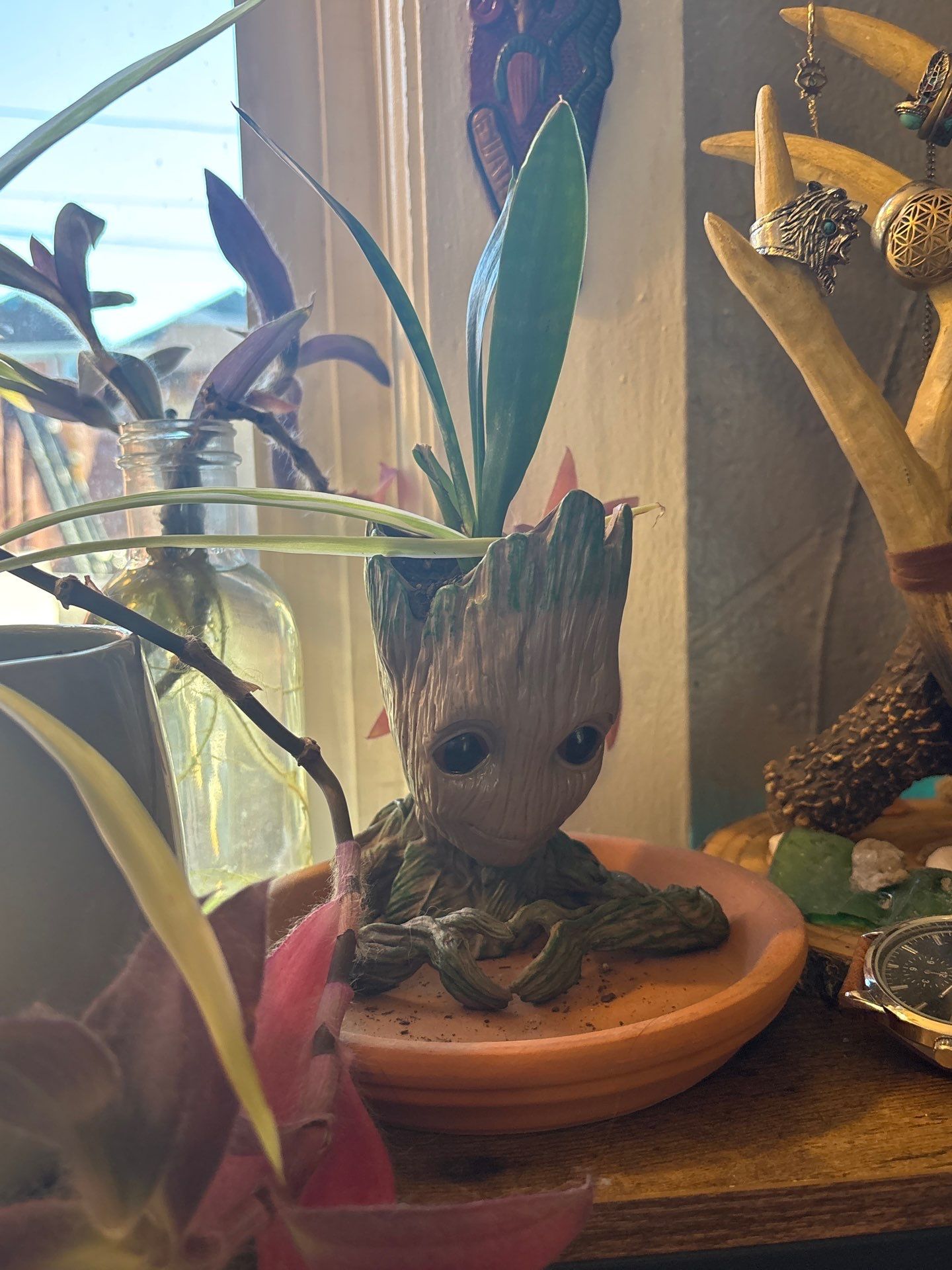 Drew's House by CompanyCam | Account Management Demo Account