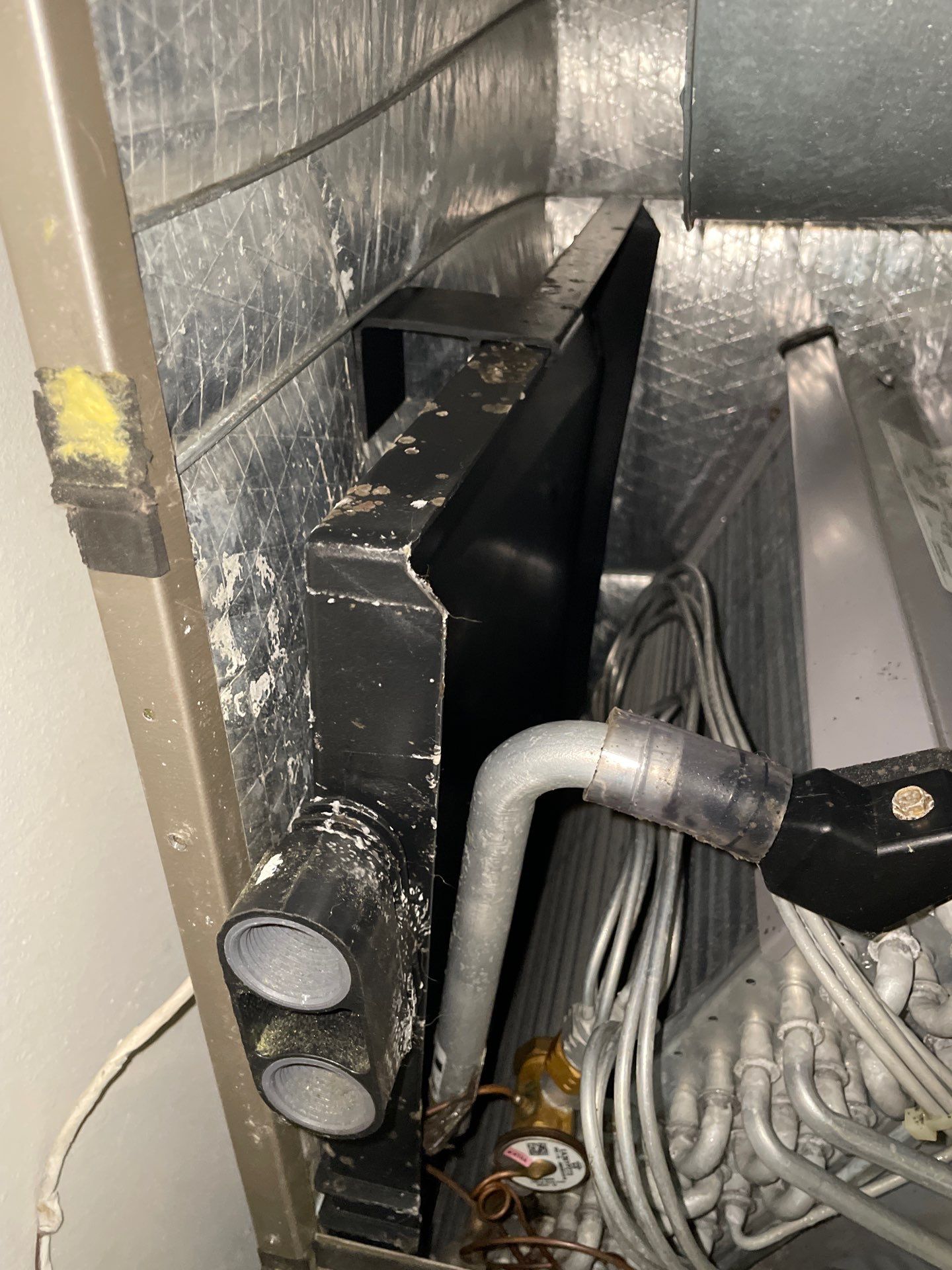 Air Duct Cleaning in Clermont by Hygienic Air, Inc